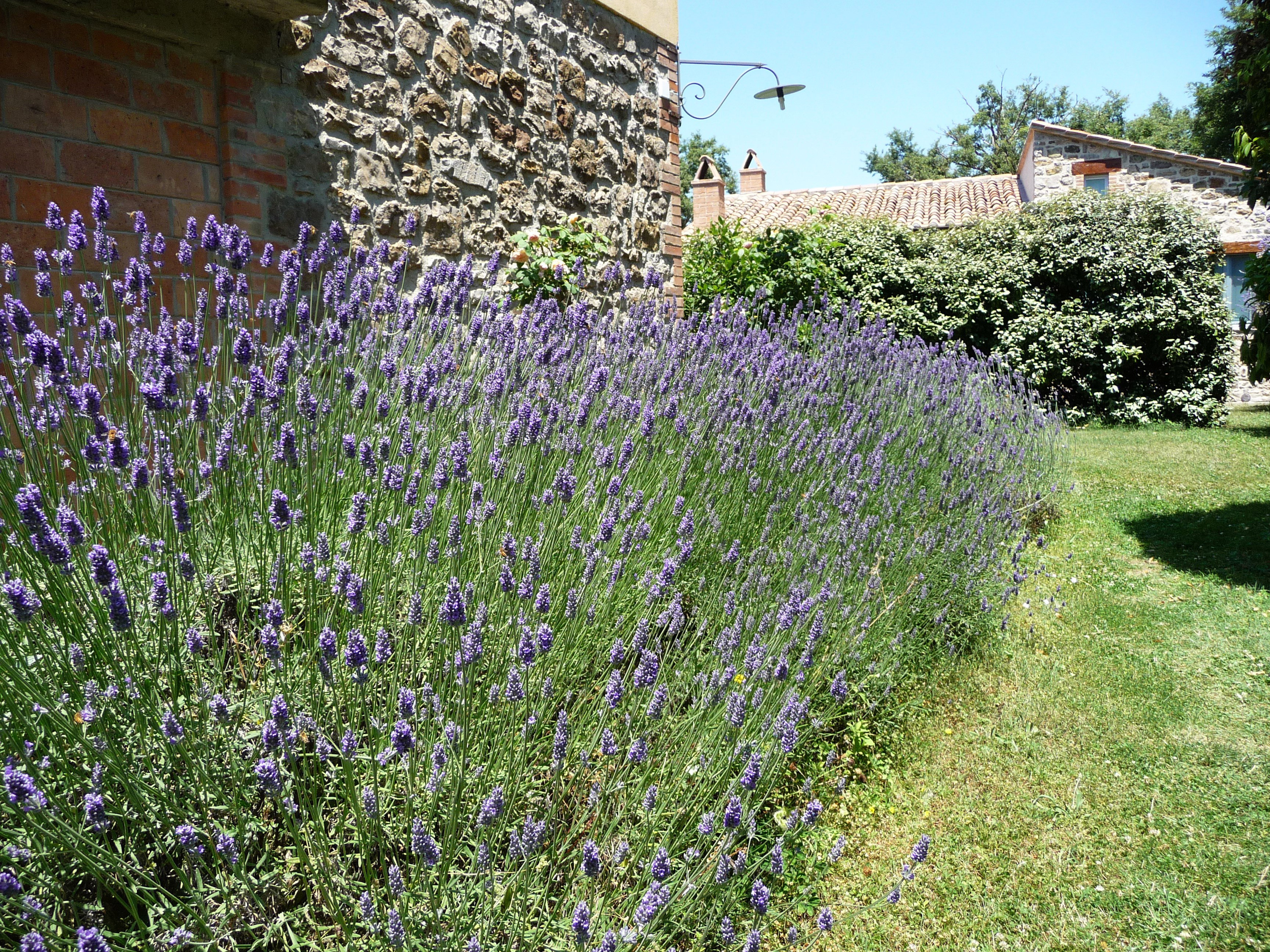 - image: 16