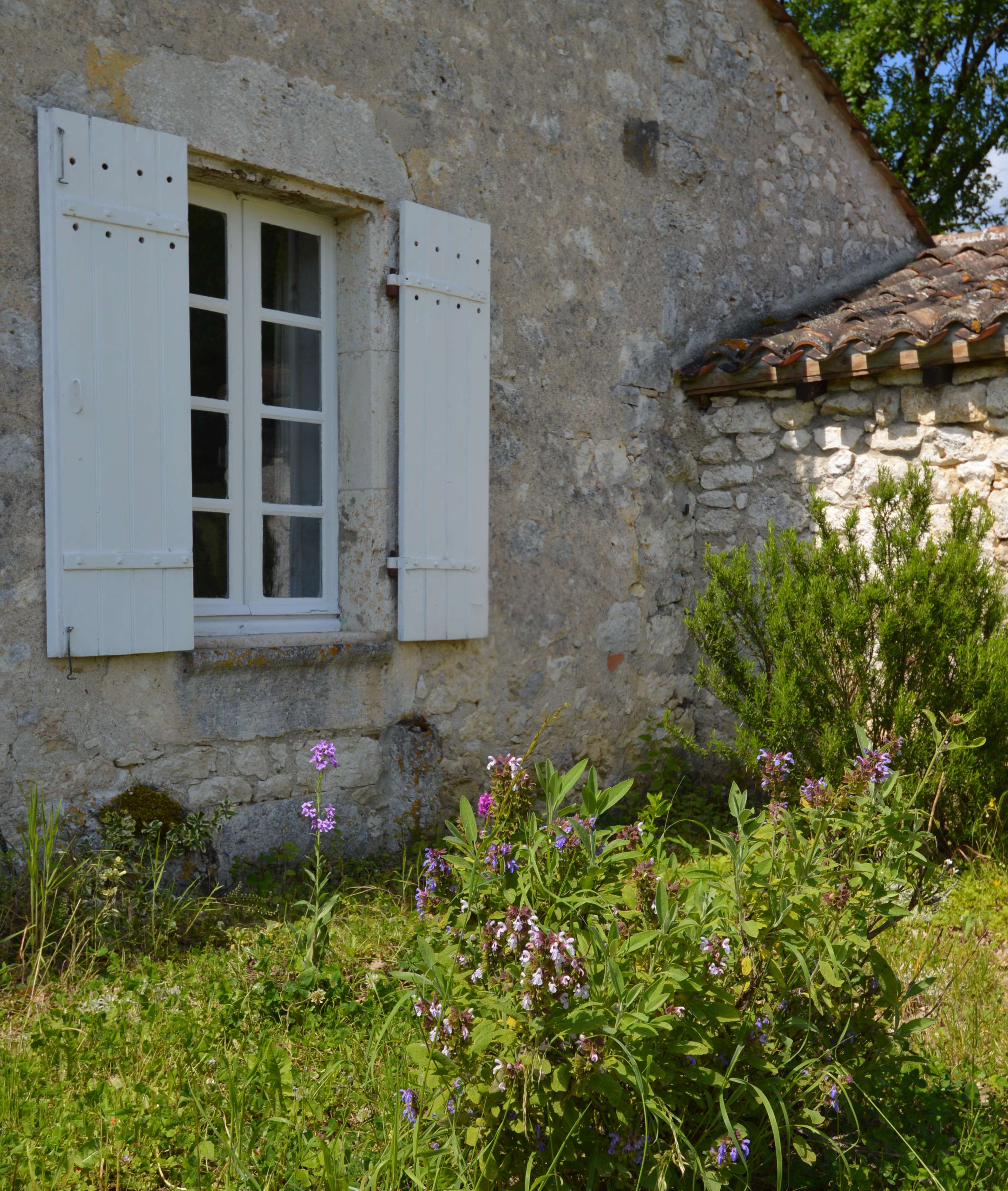 - image: 11