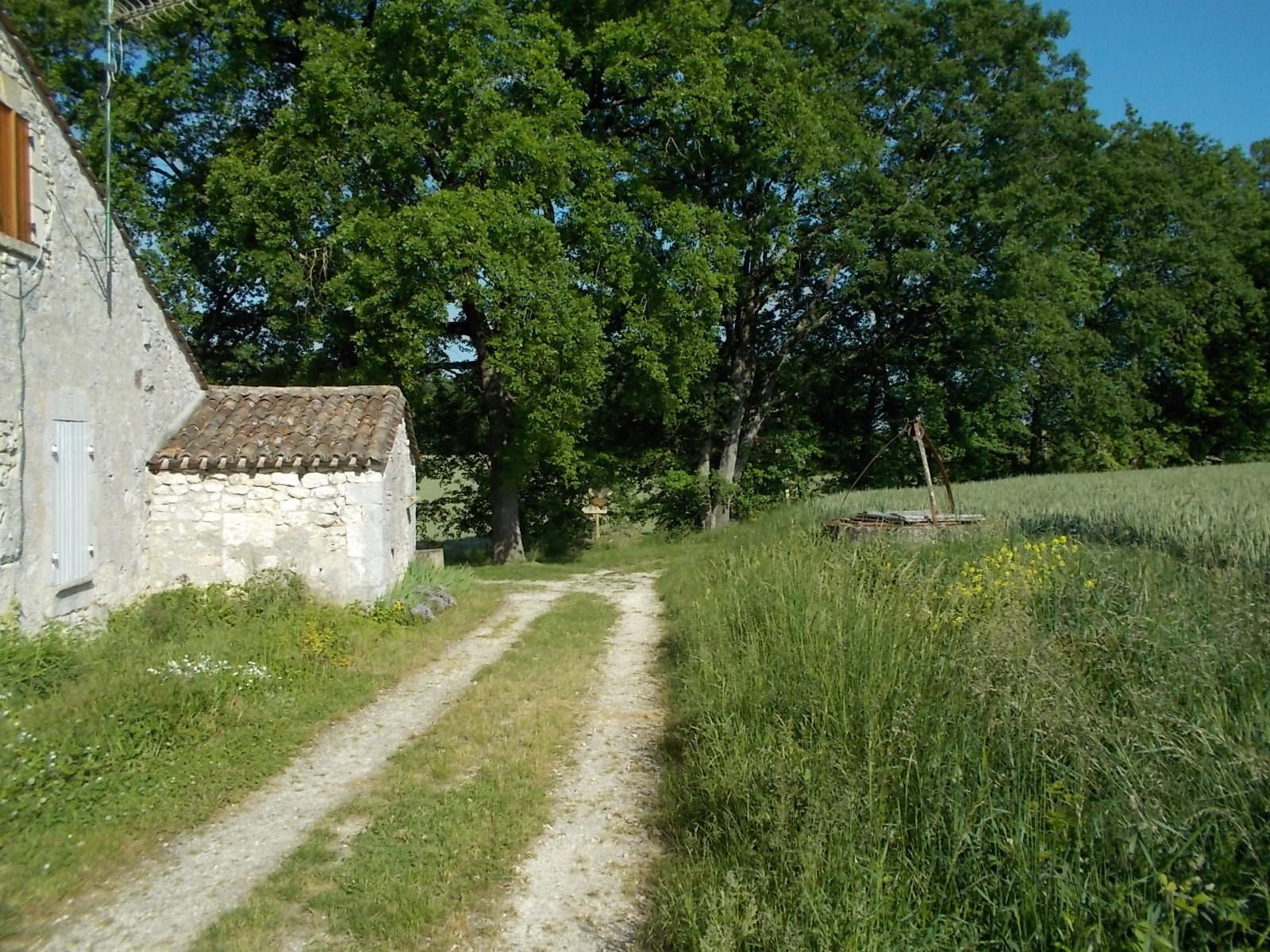 - image: 21