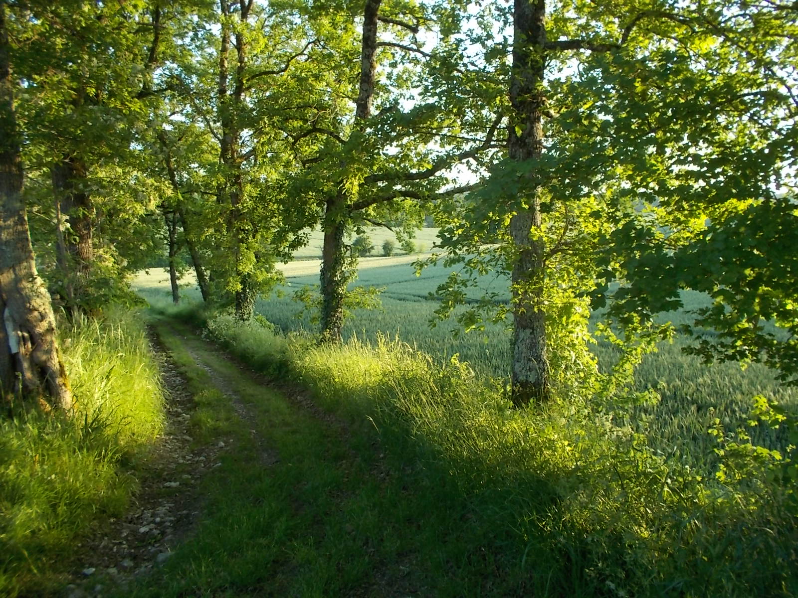 - image: 23