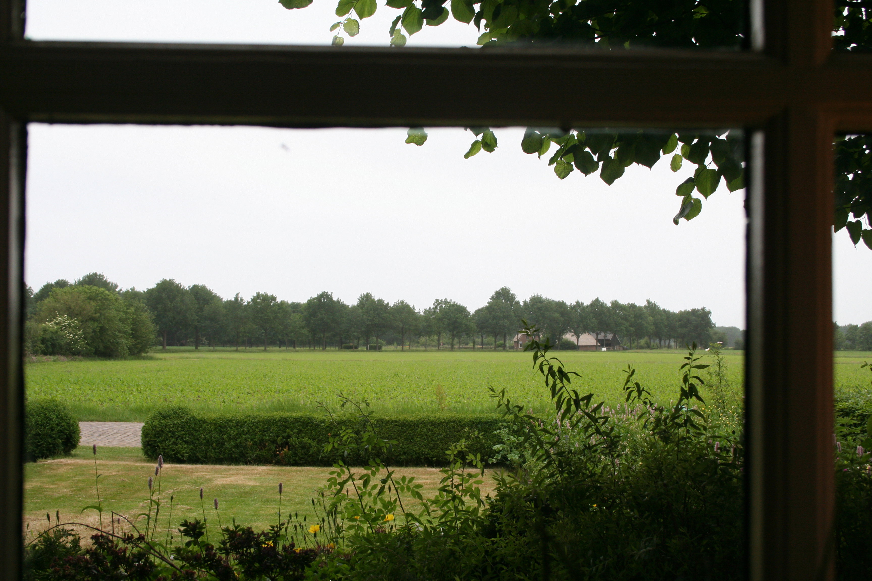 - image: 17