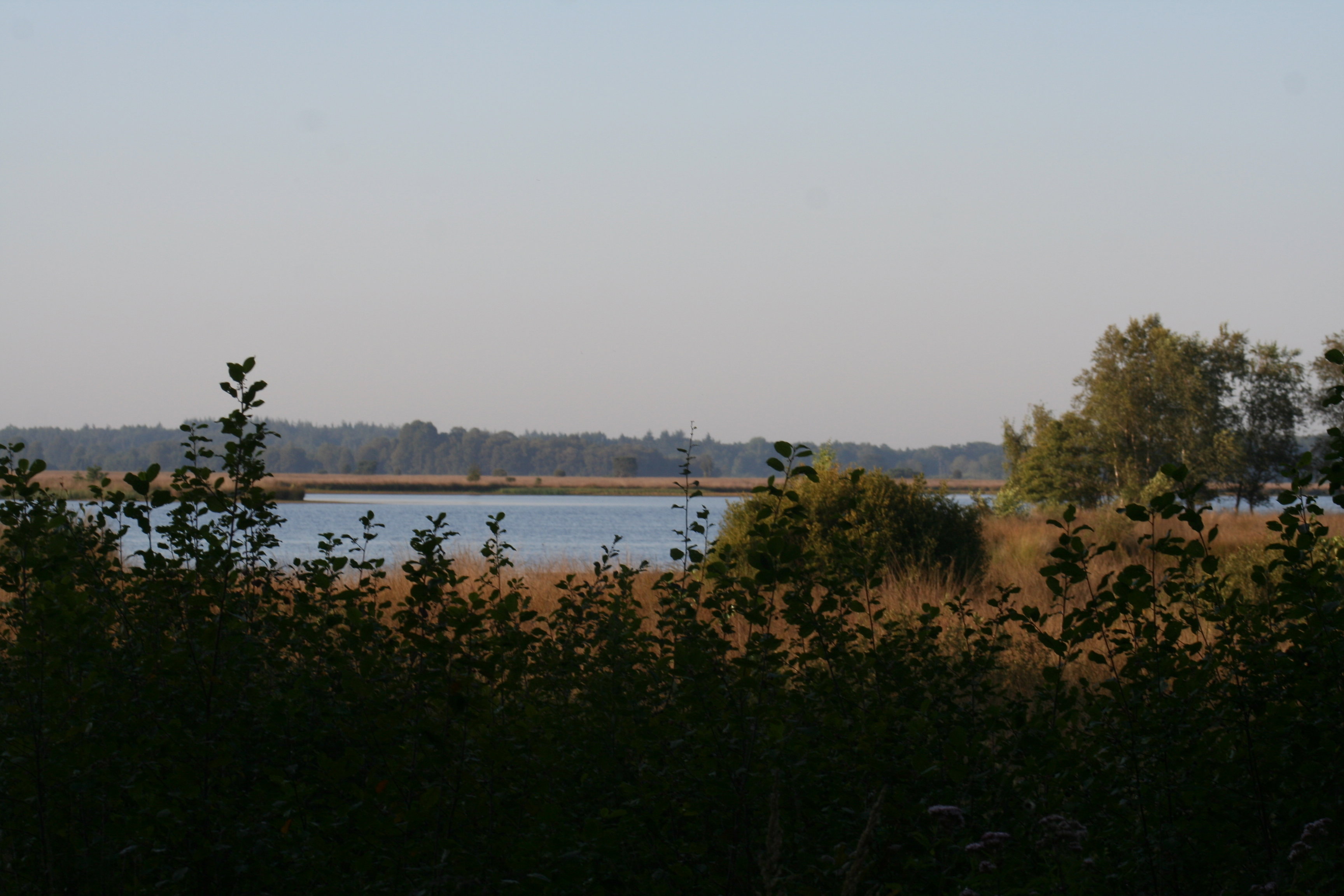 - image: 84