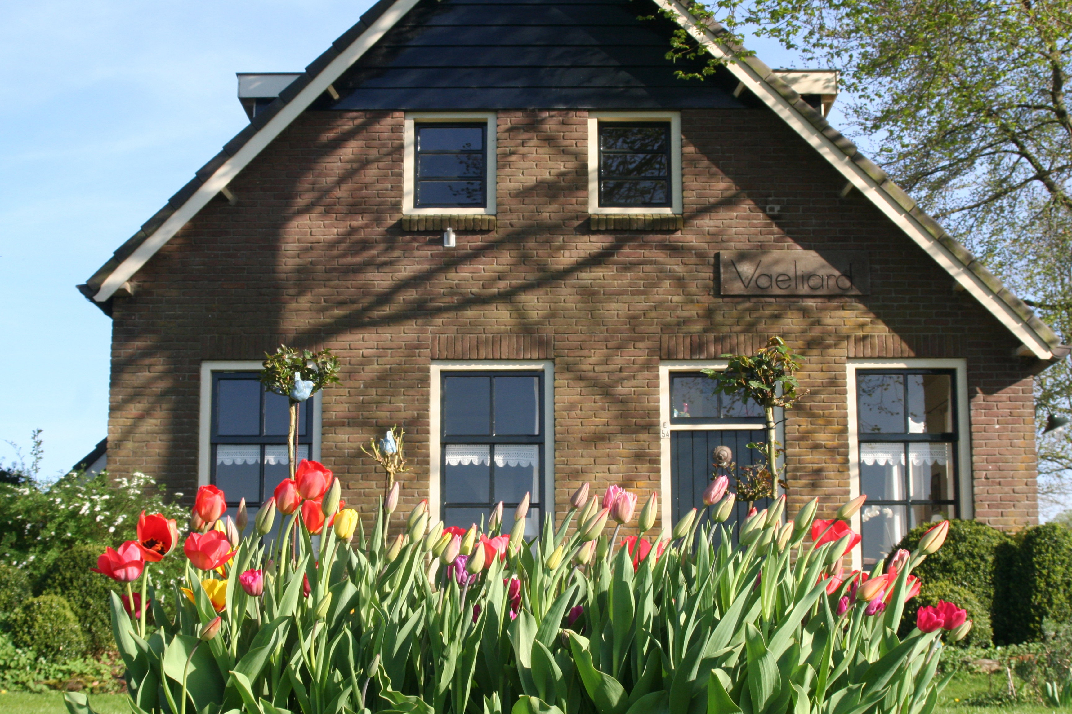 Maison nature à Dwingeloo