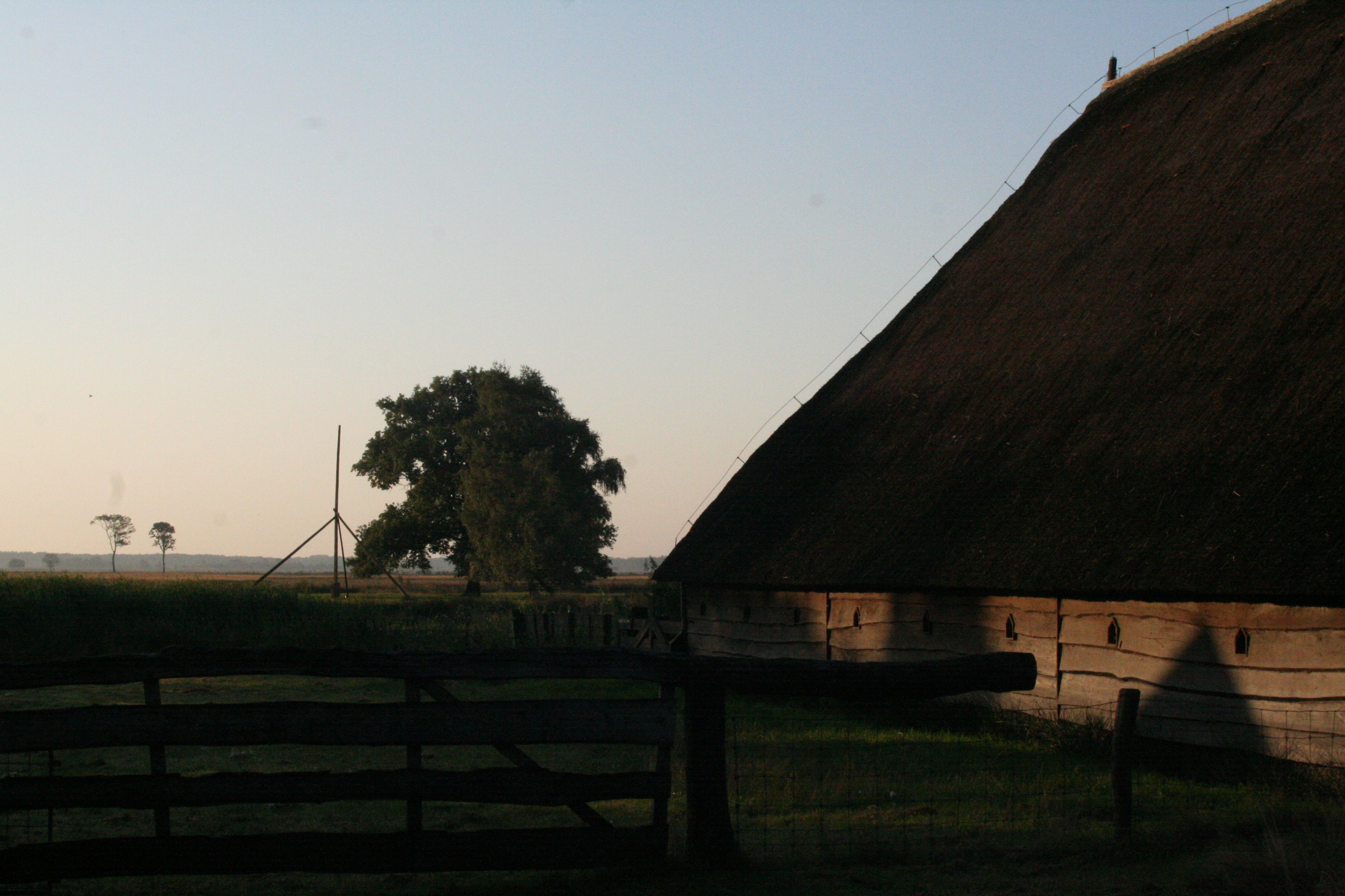 - image: 77