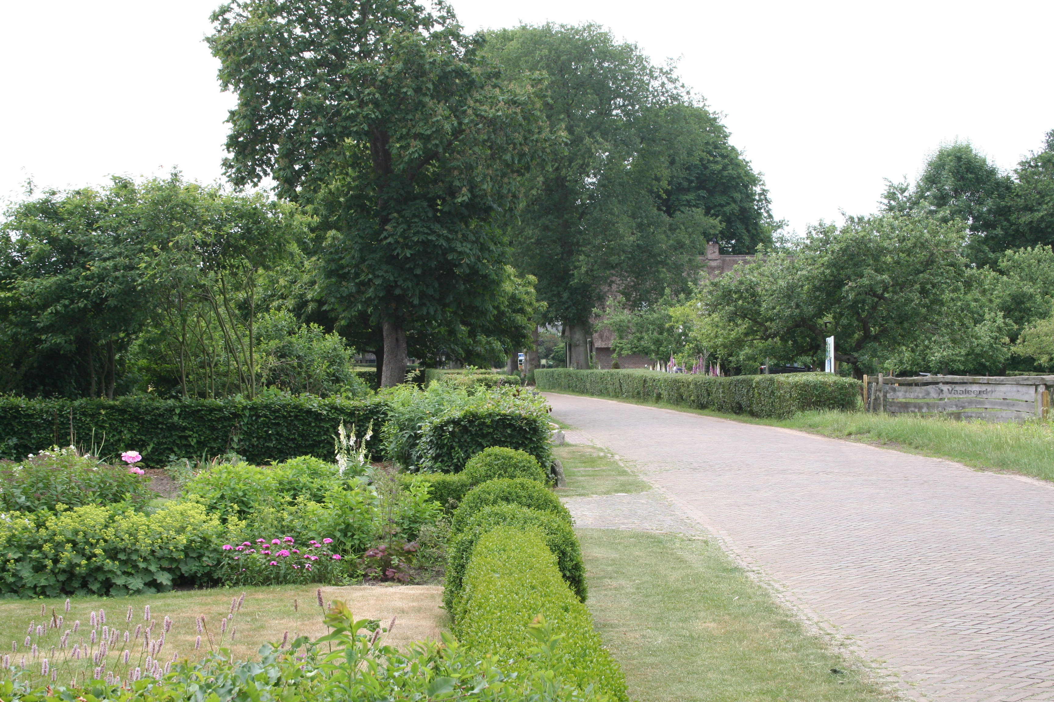 Maison nature à Dwingeloo