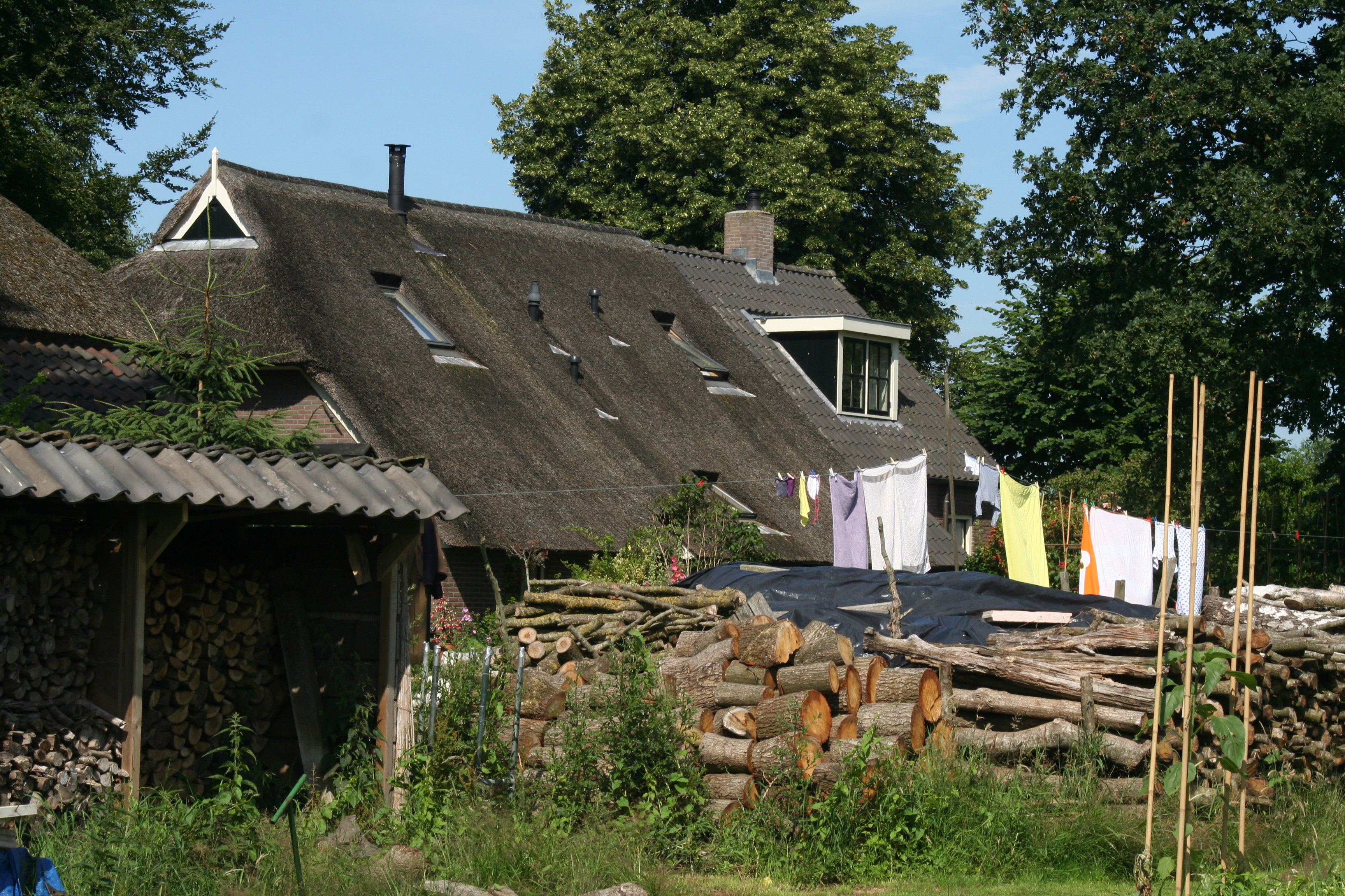- image: 48