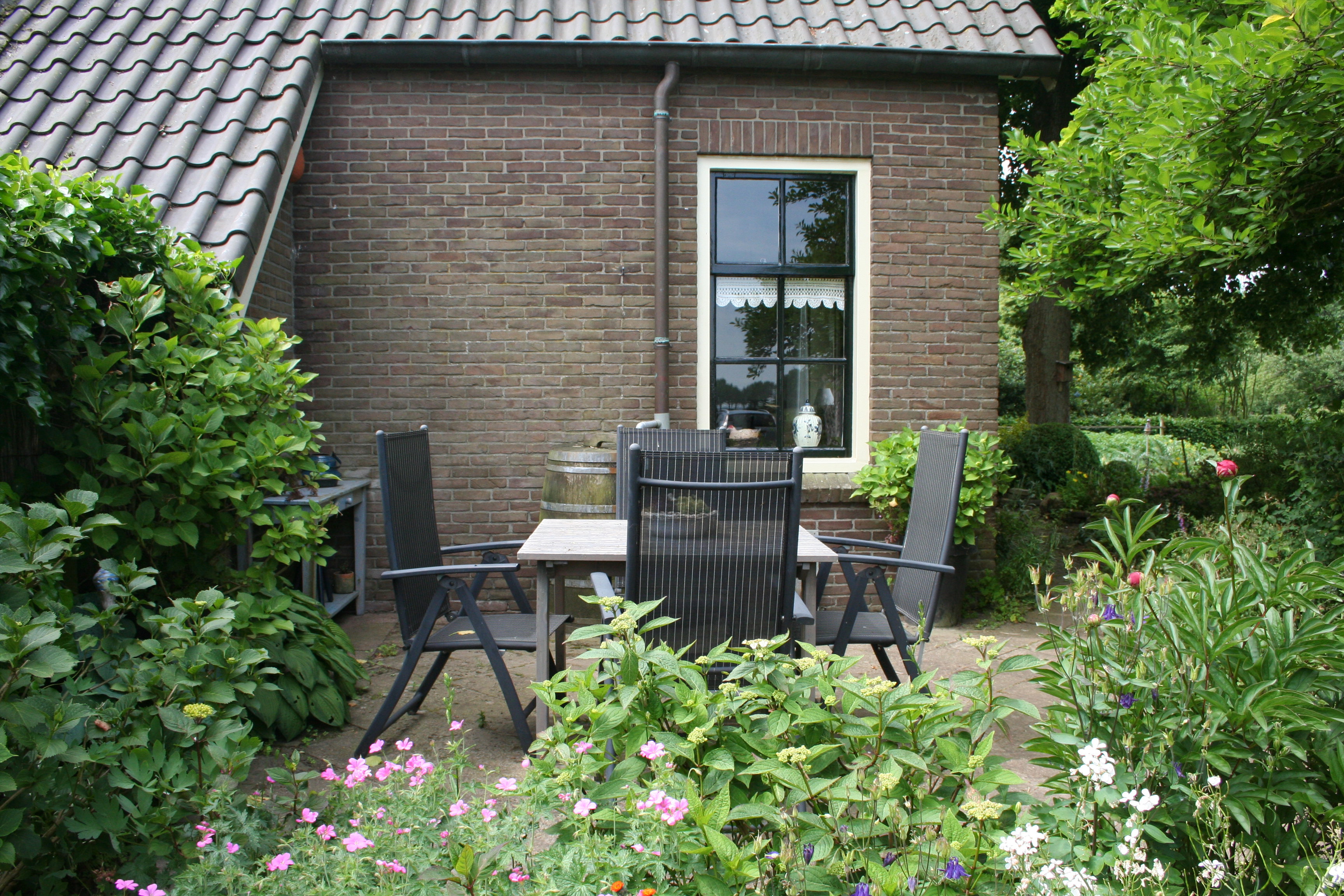 - image: 26