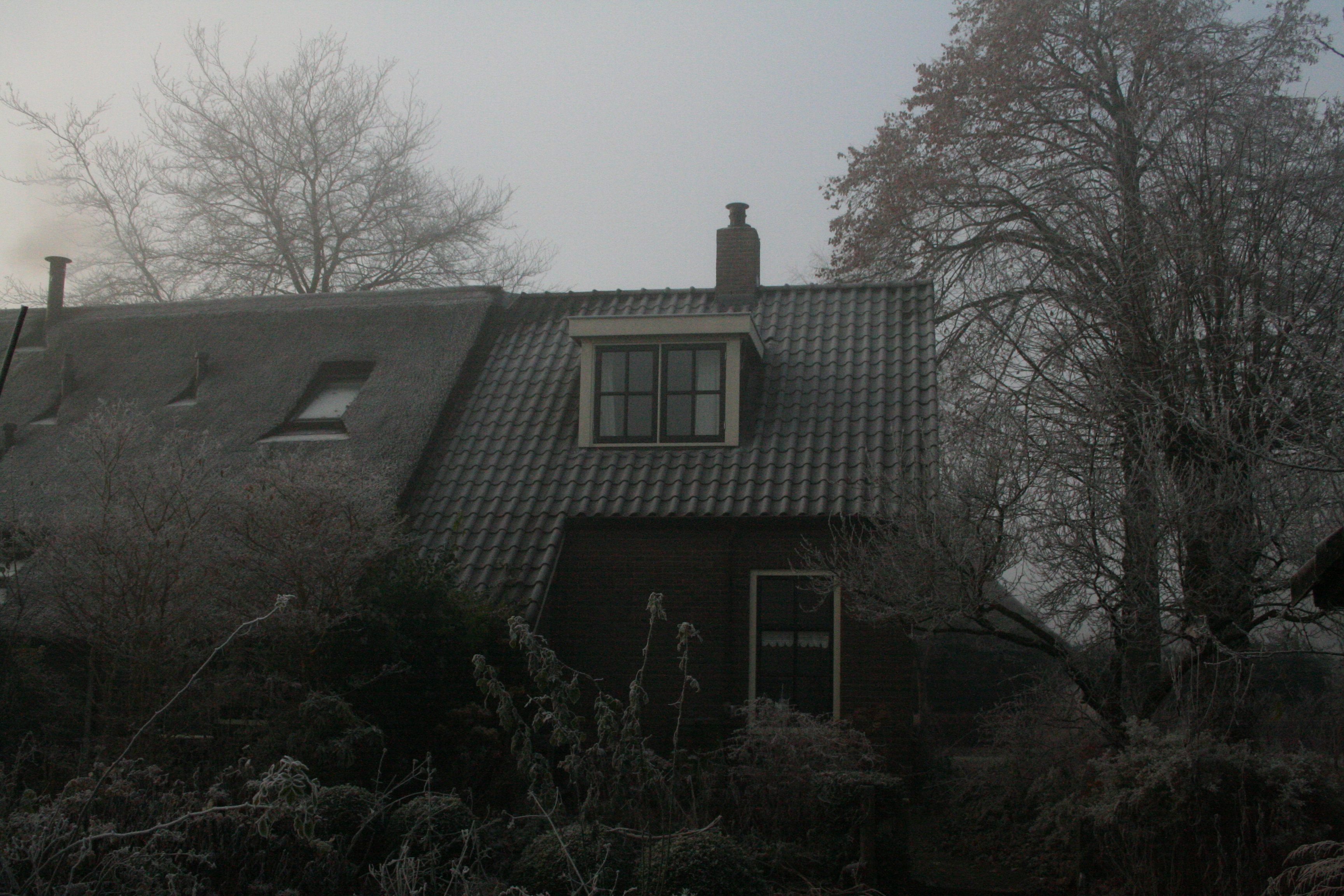 - image: 61