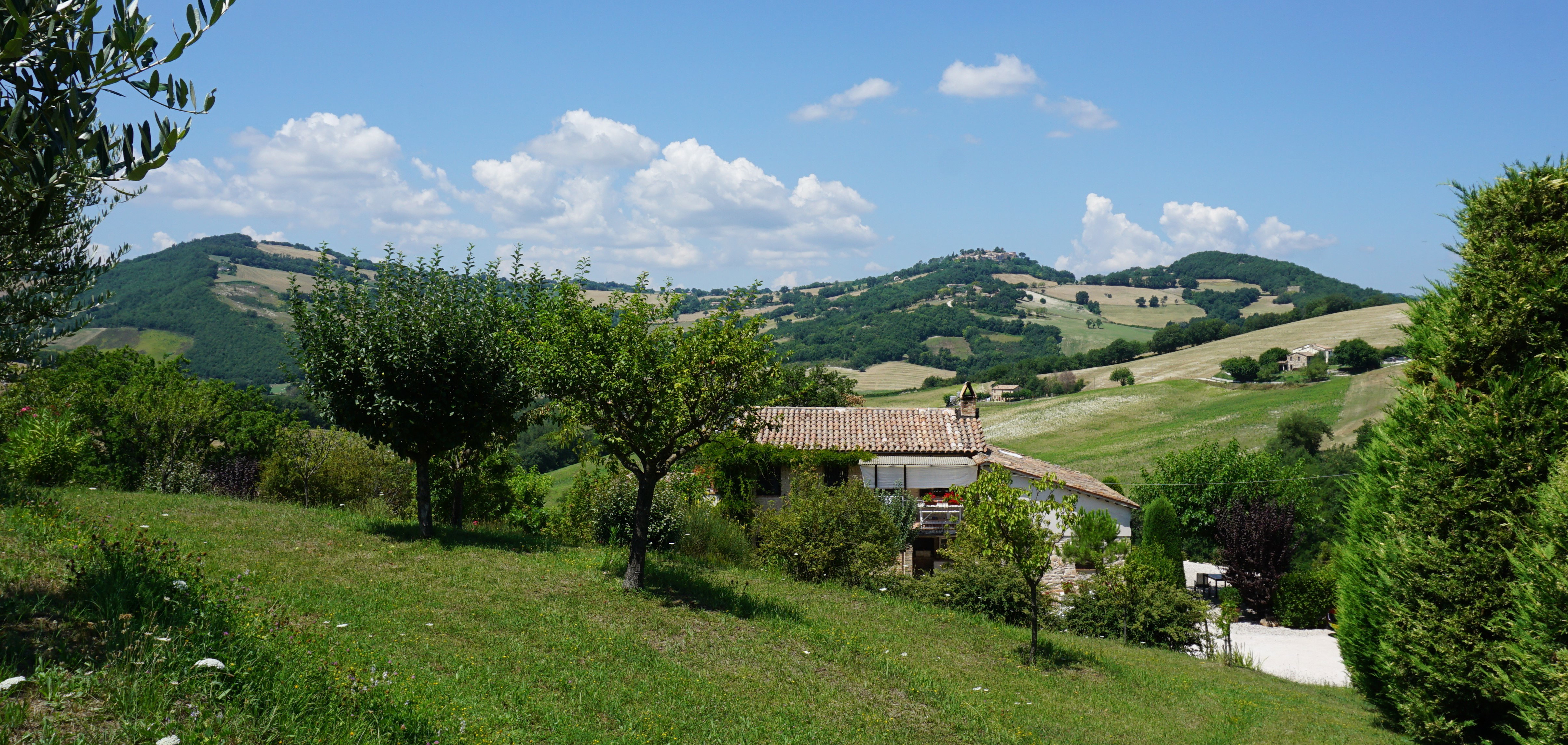 - image: 18