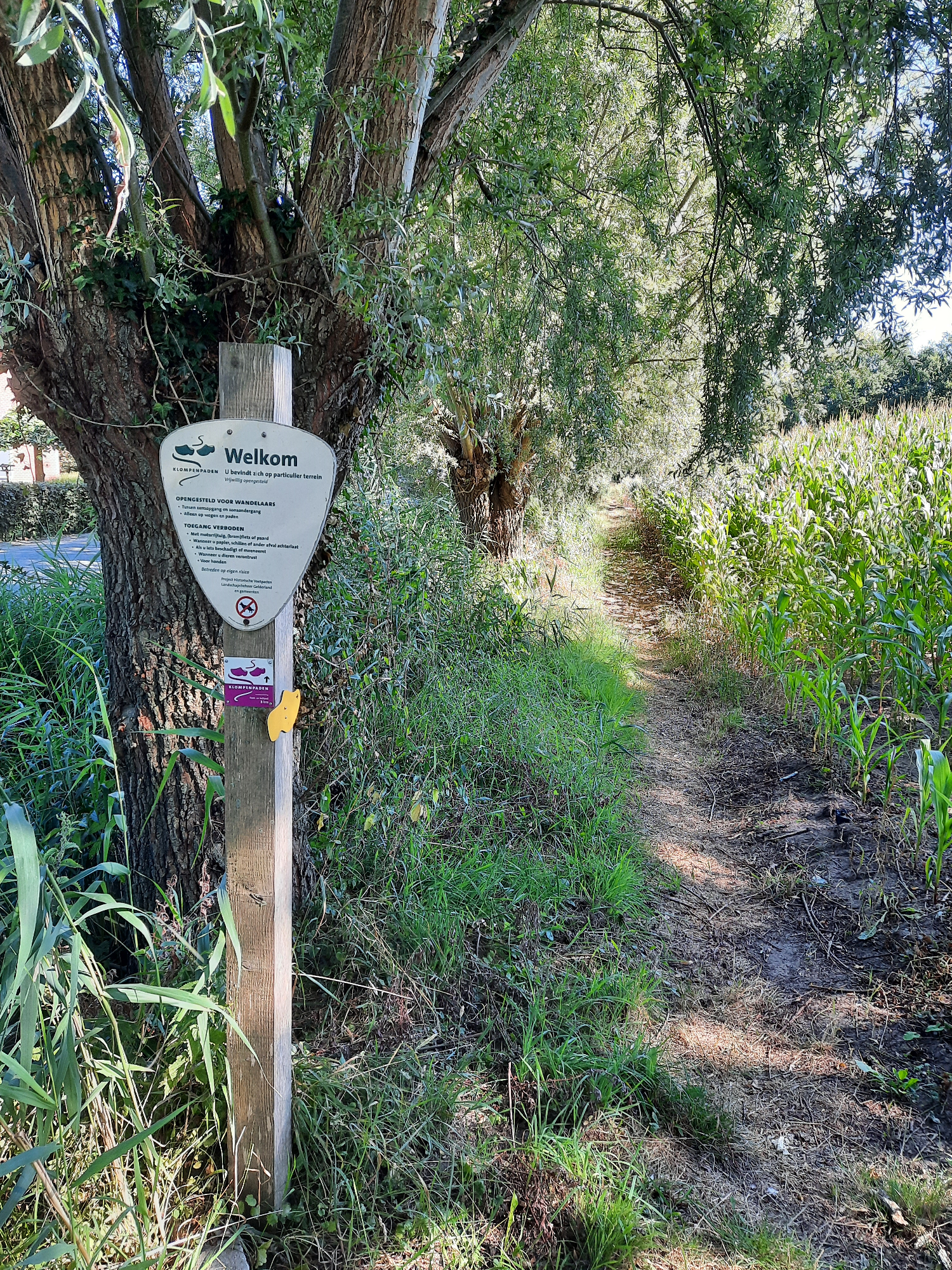 Naturhäuschen in Kootwijkerbroek