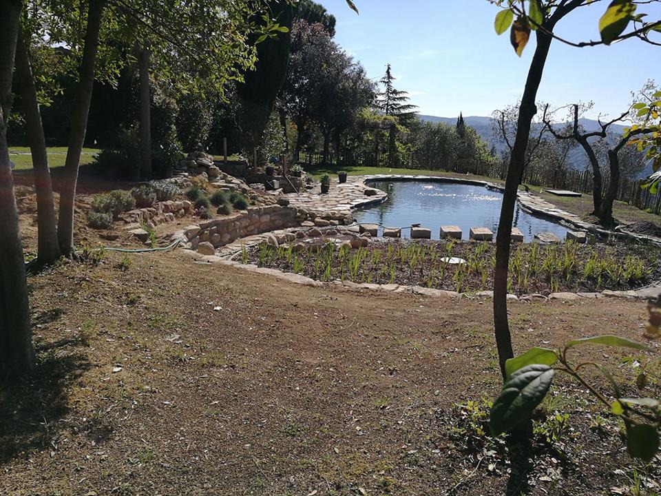 - image: 13