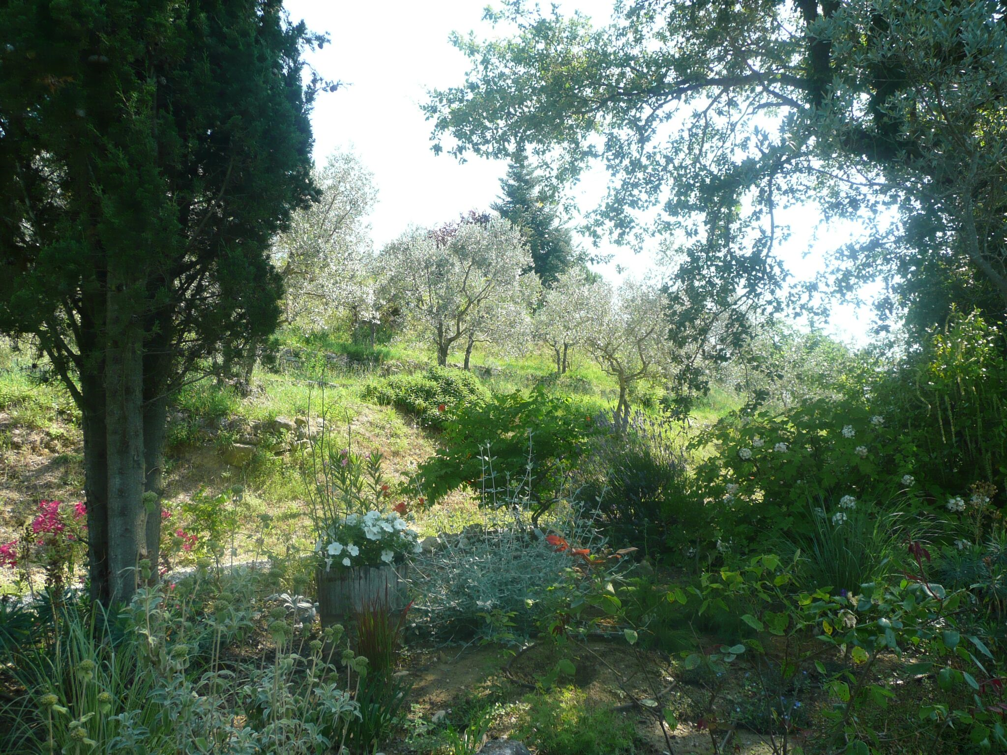 - image: 28