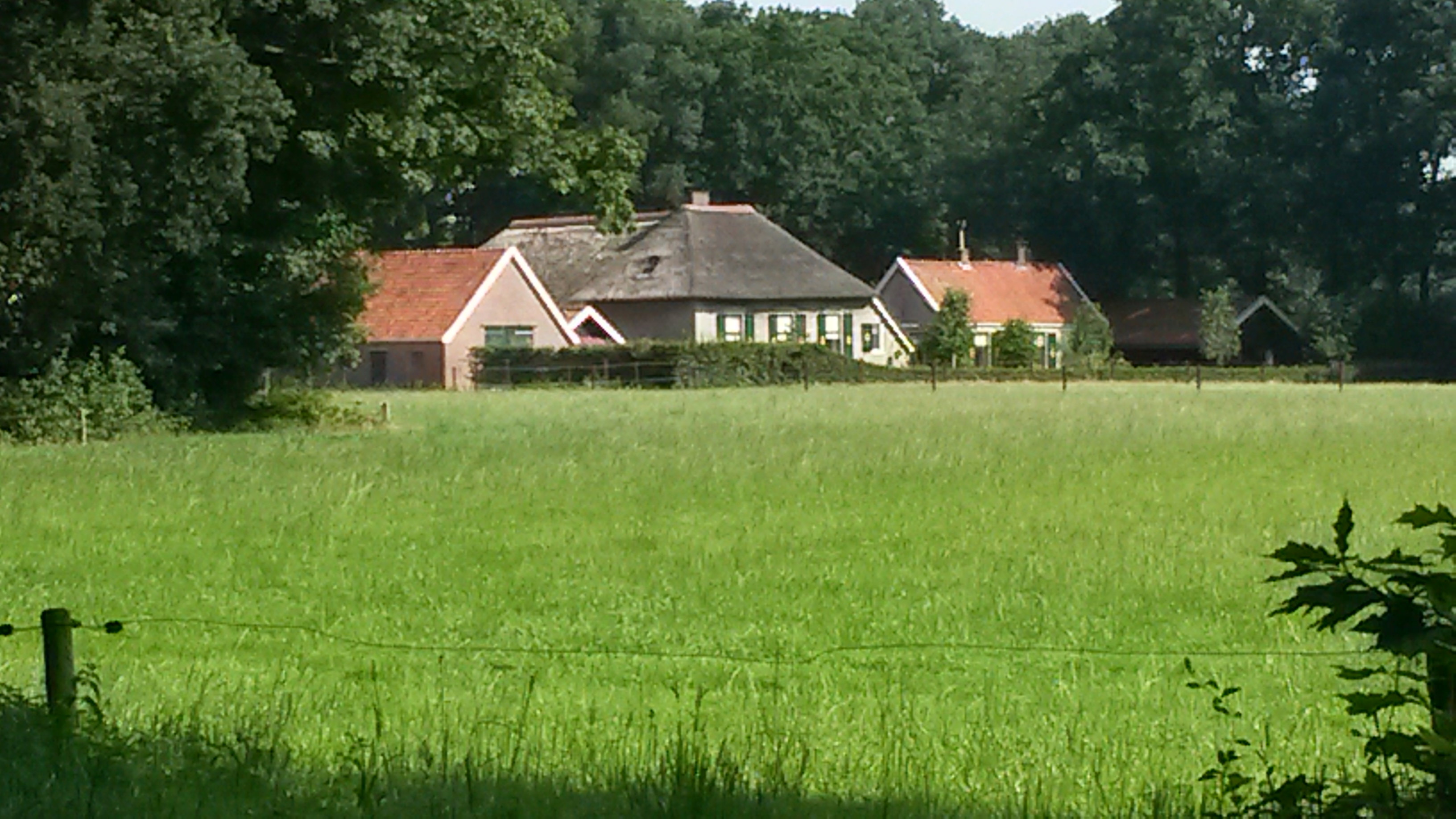 - image: 1