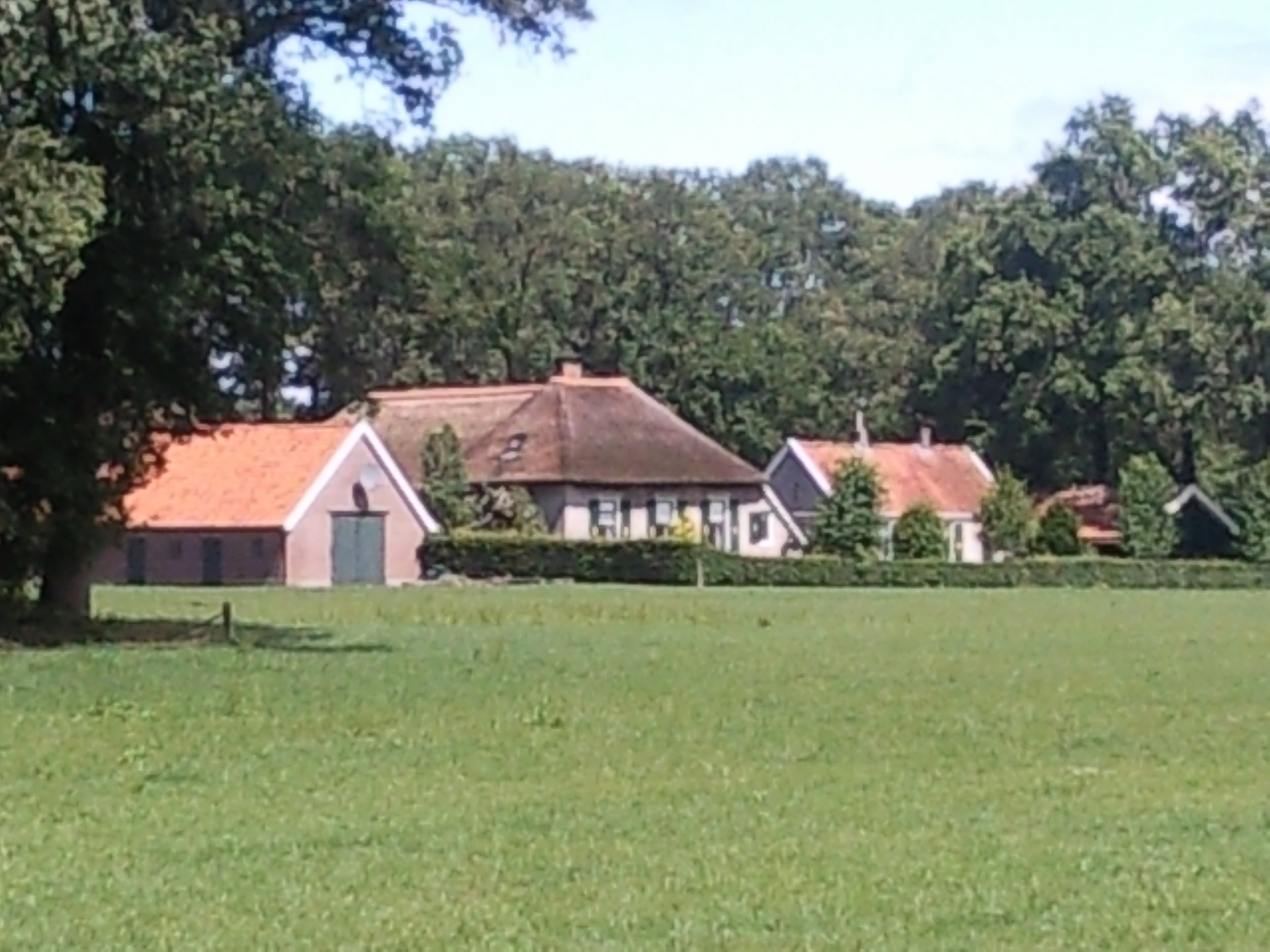 - image: 2