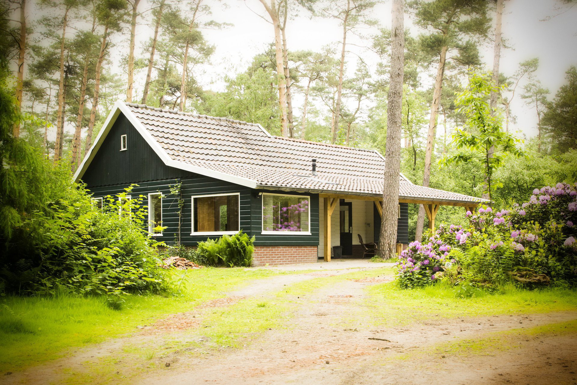 Maison nature à De Lutte, gemeente Losser