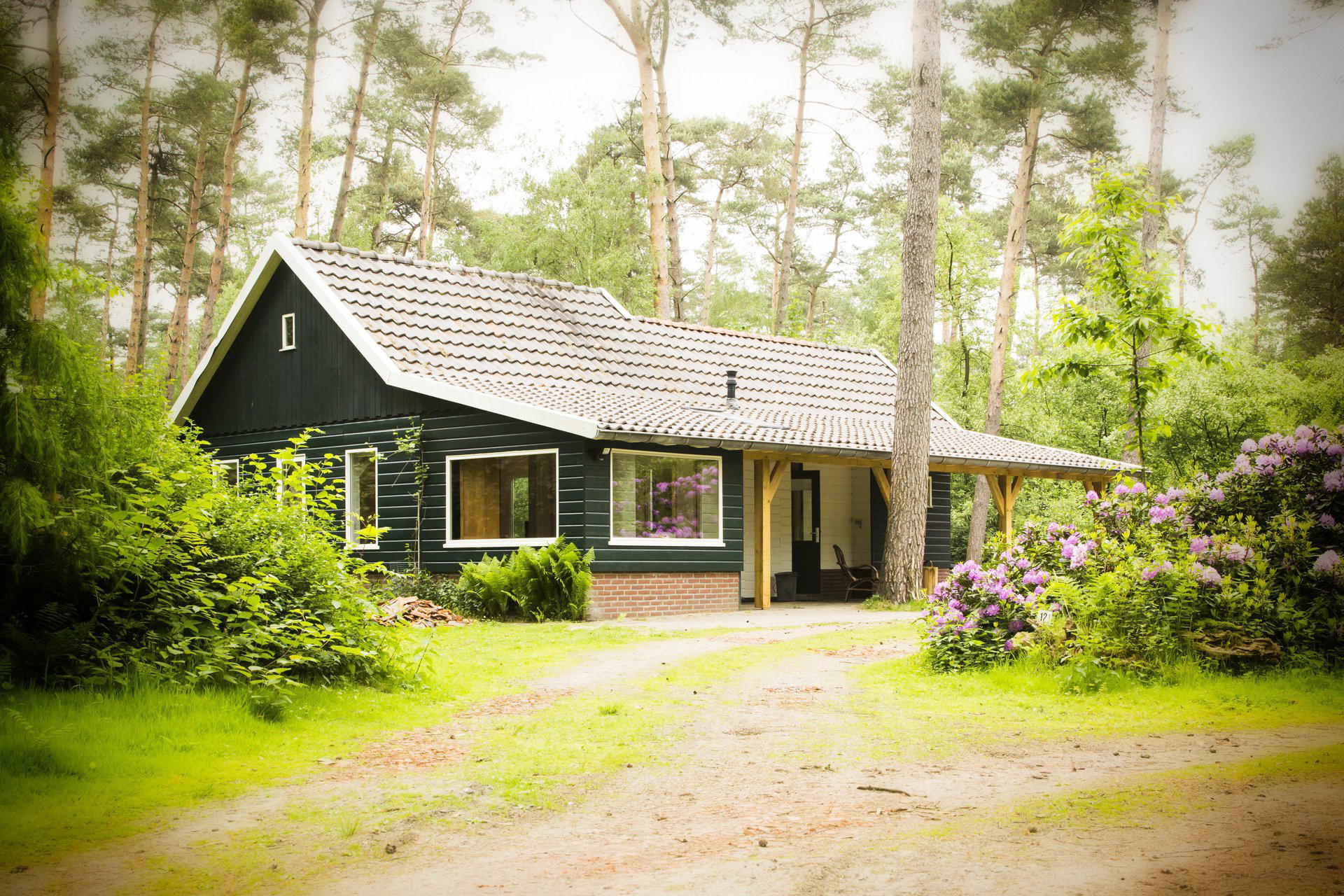 Nature house in De Lutte, gemeente Losser
