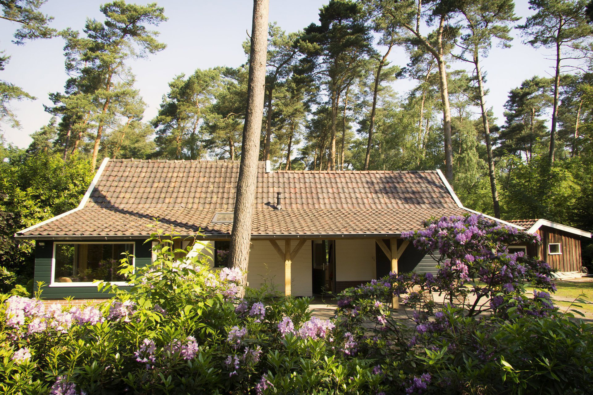 Maison nature à De Lutte, gemeente Losser