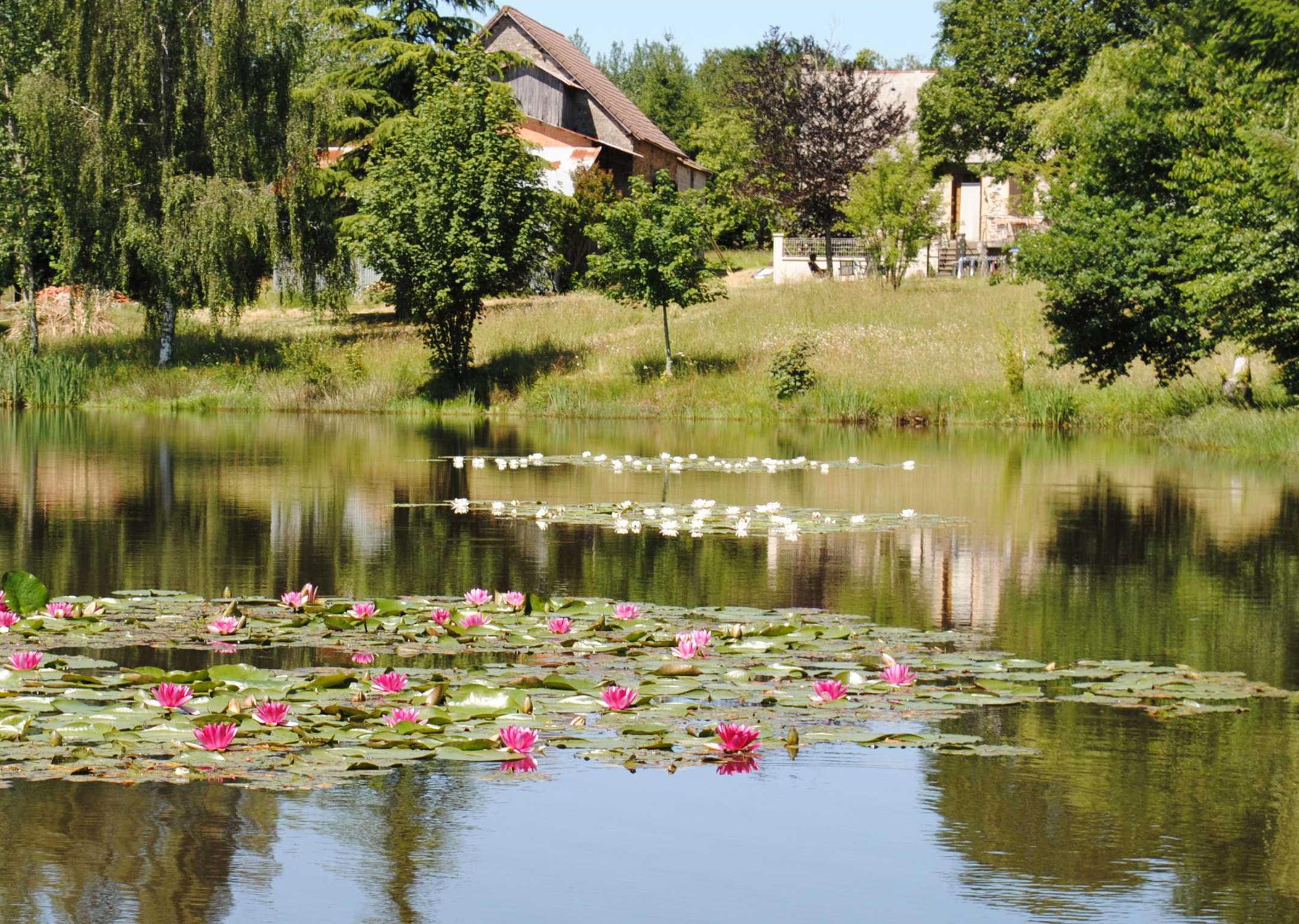 Nature house in Sarlande