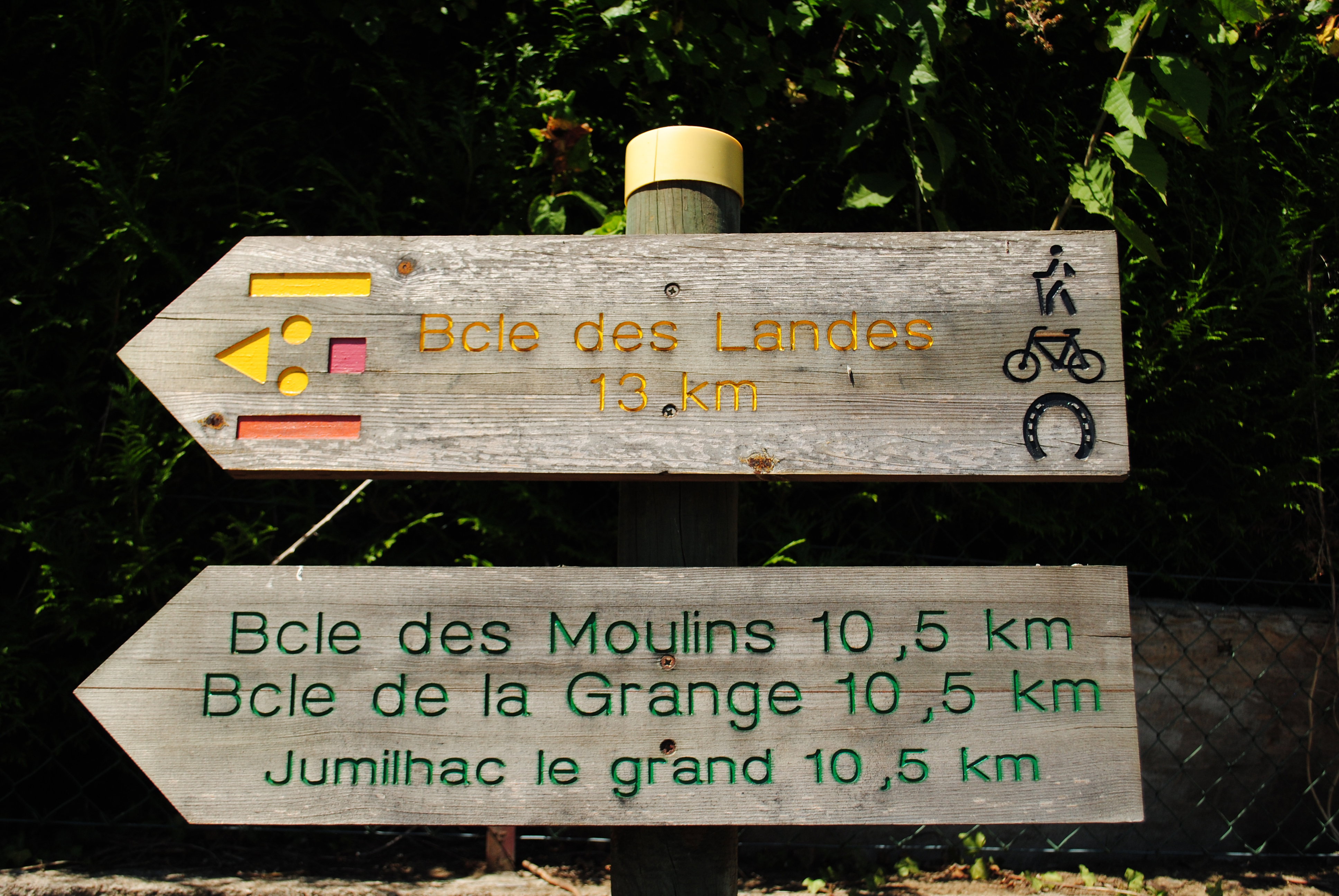 - image: 14