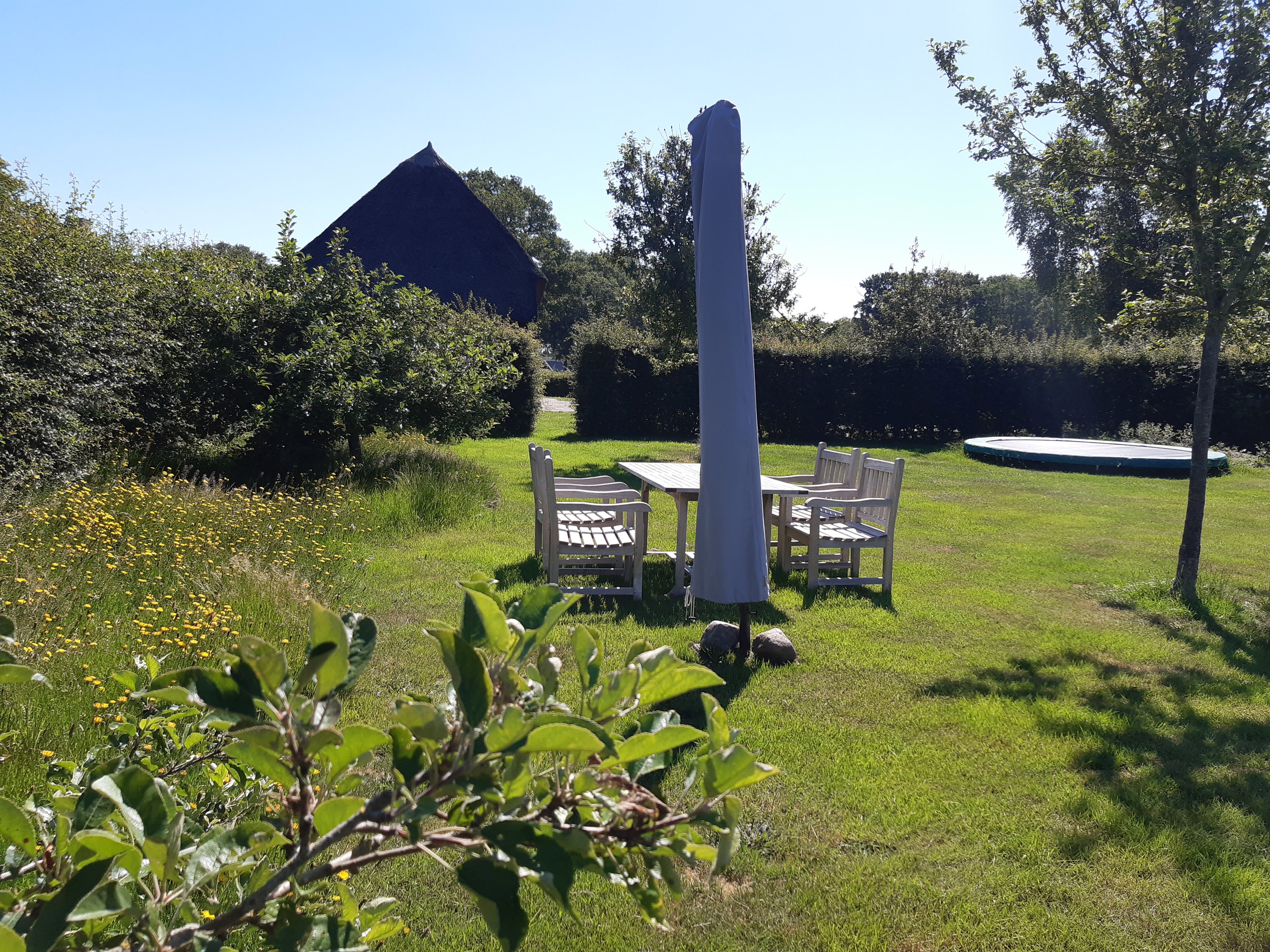 Natuurhuisje in Dwingeloo