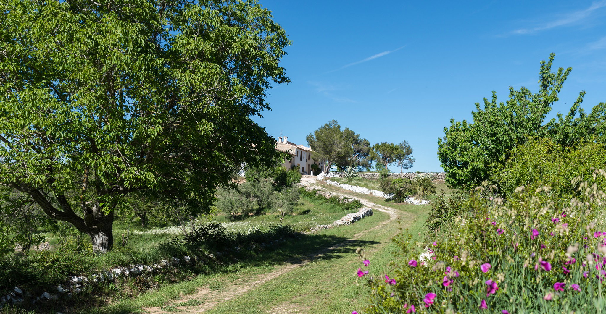 Casa nella natura a Enguera
