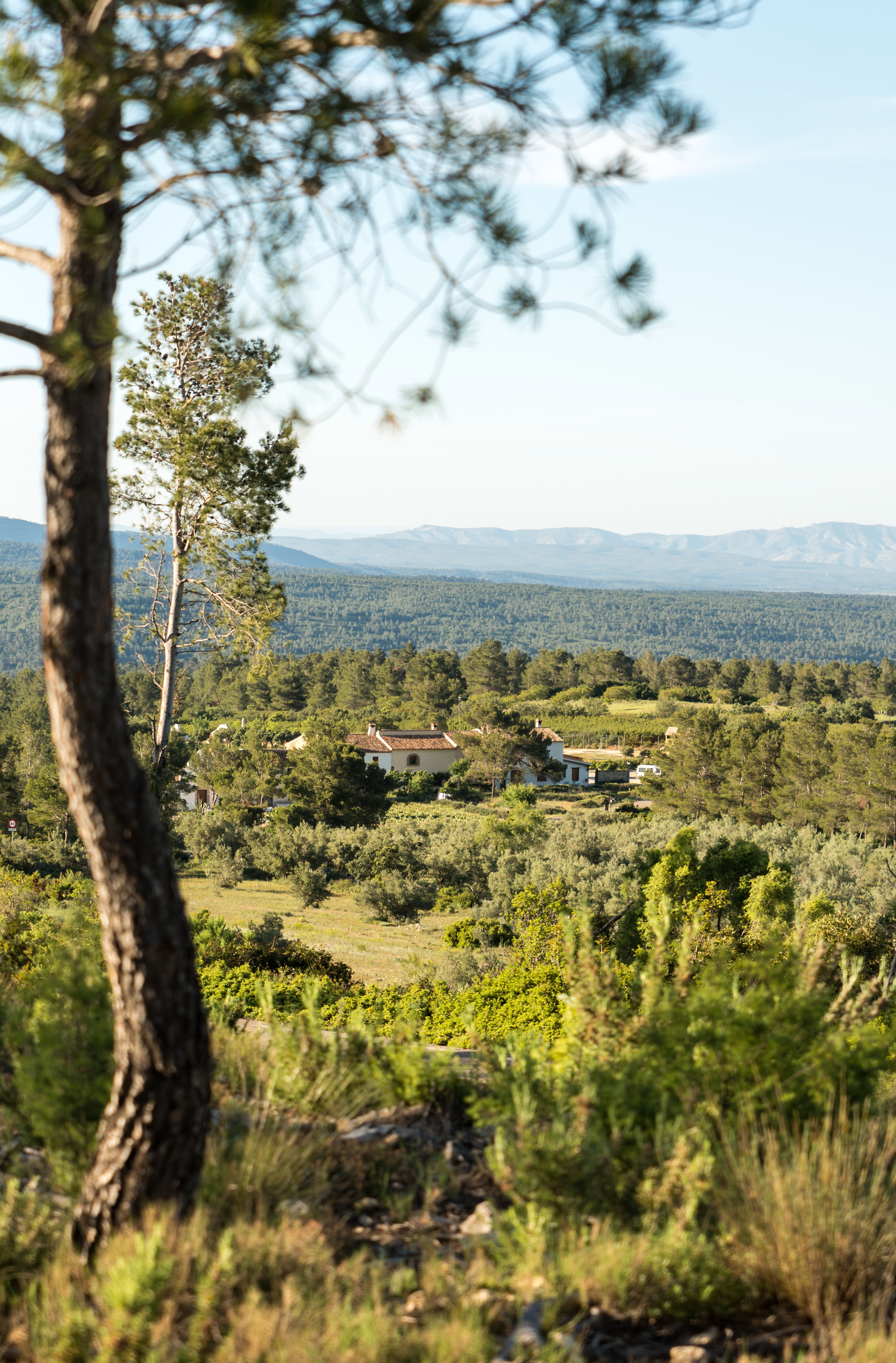 Casa nella natura a Enguera