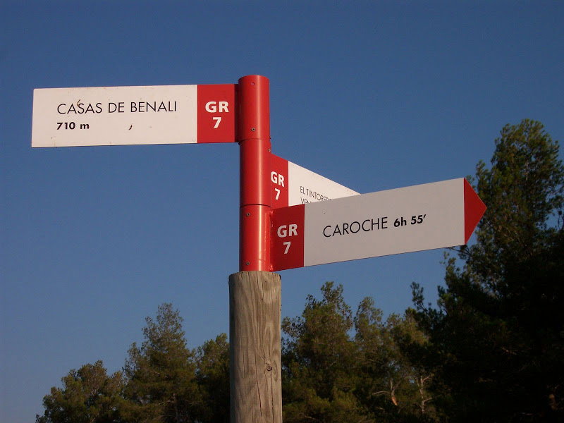 - image: 19