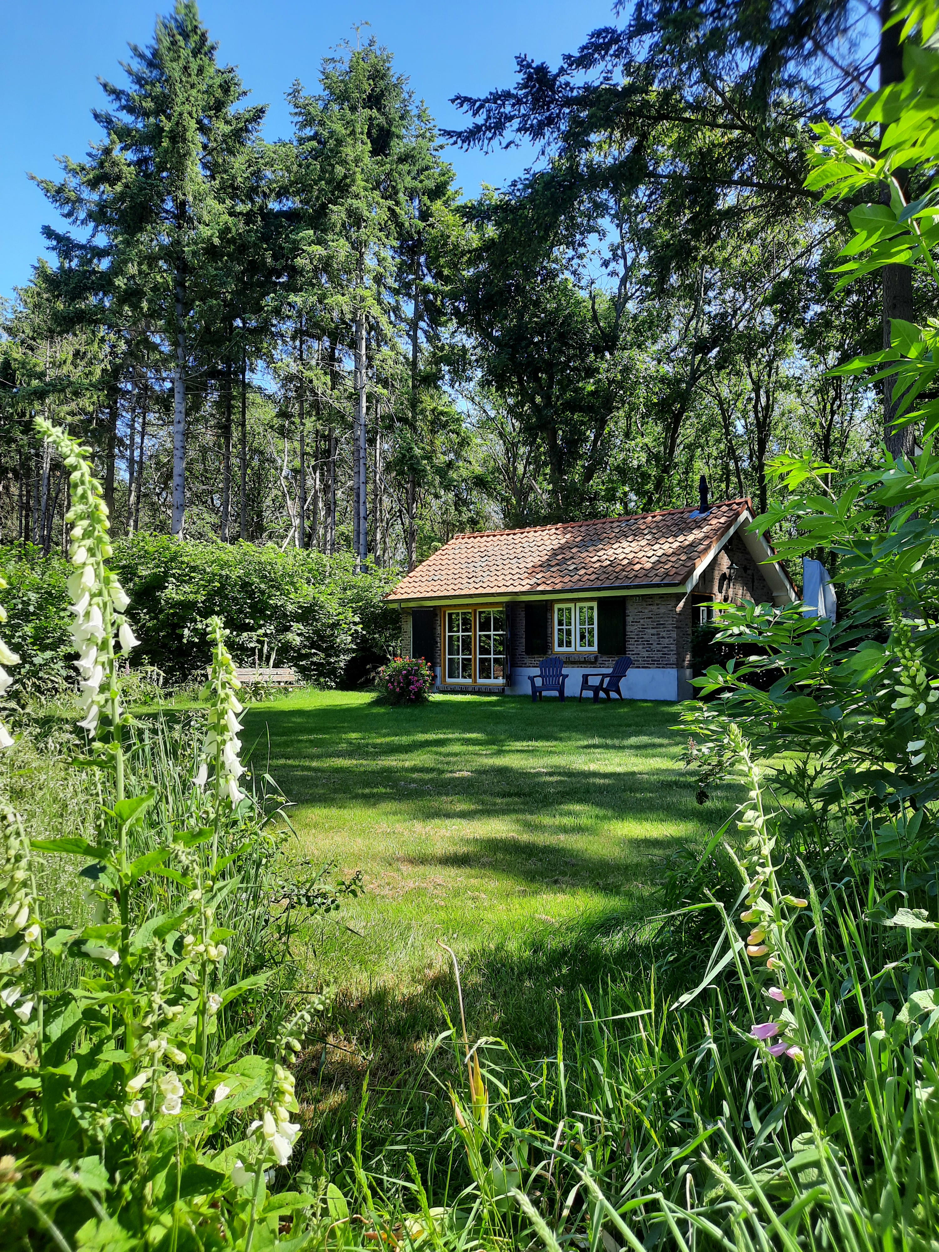 Nature house in Grave