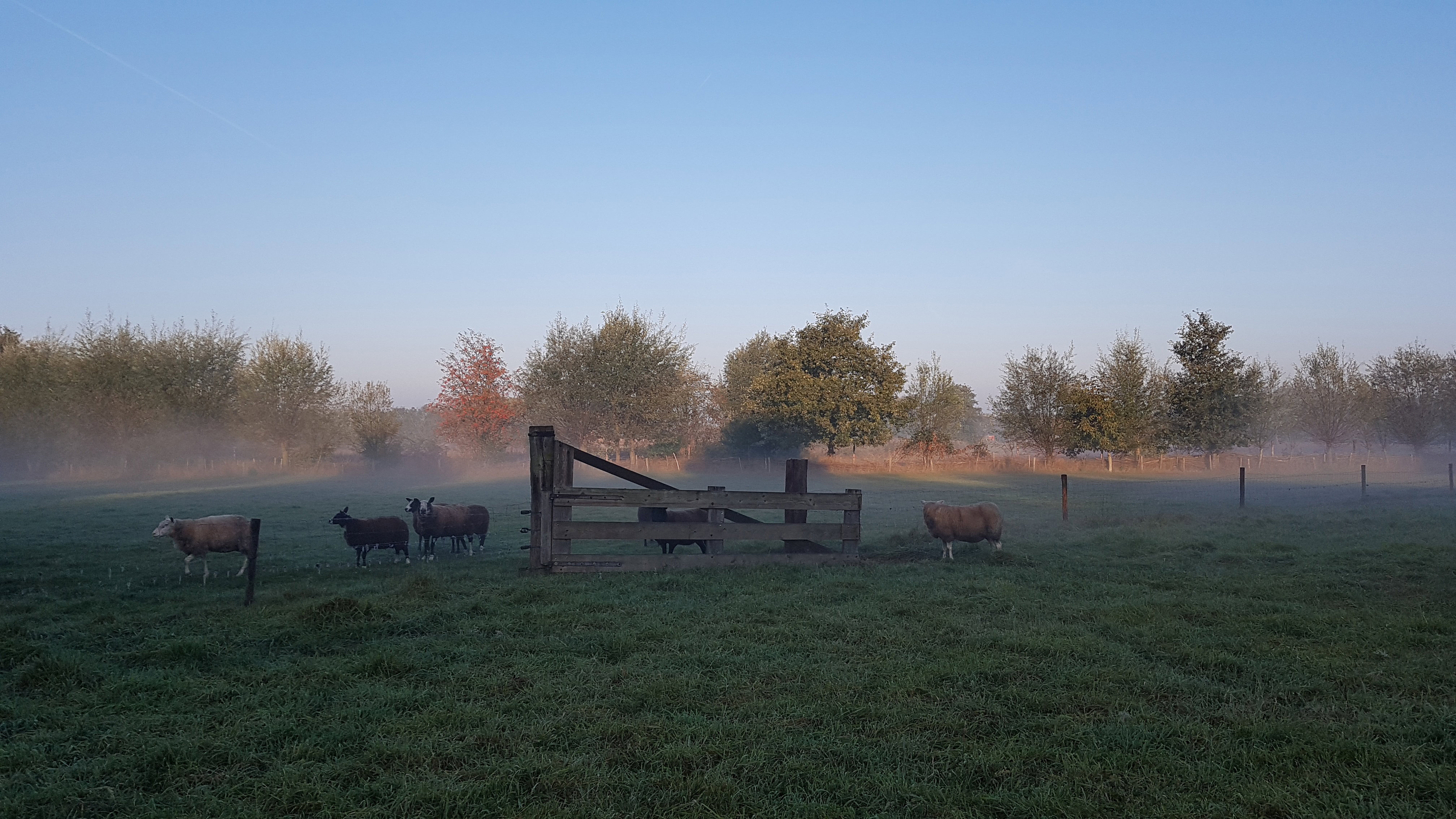 Naturhäuschen in Grave
