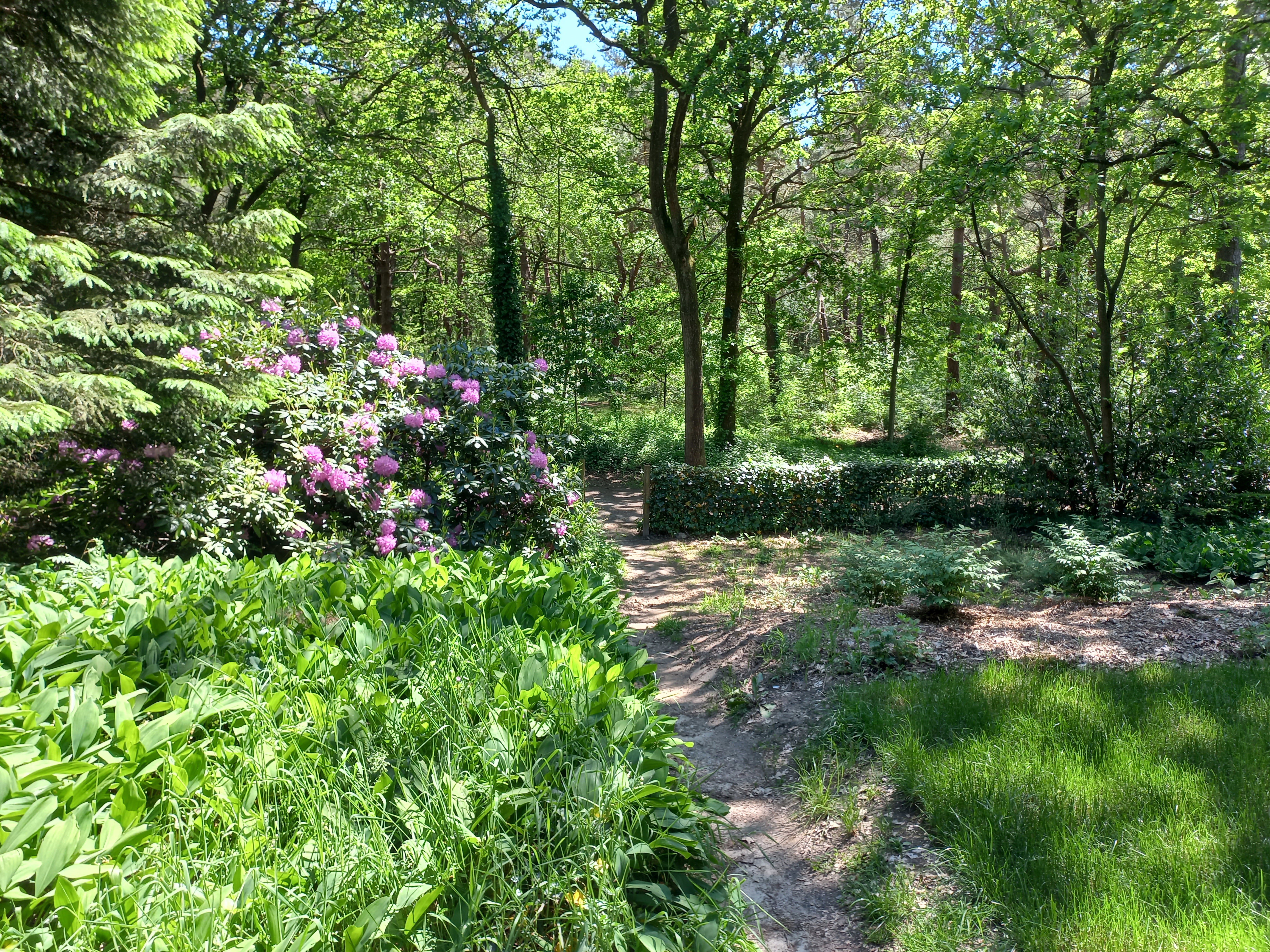 Natuurhuisje in Norg
