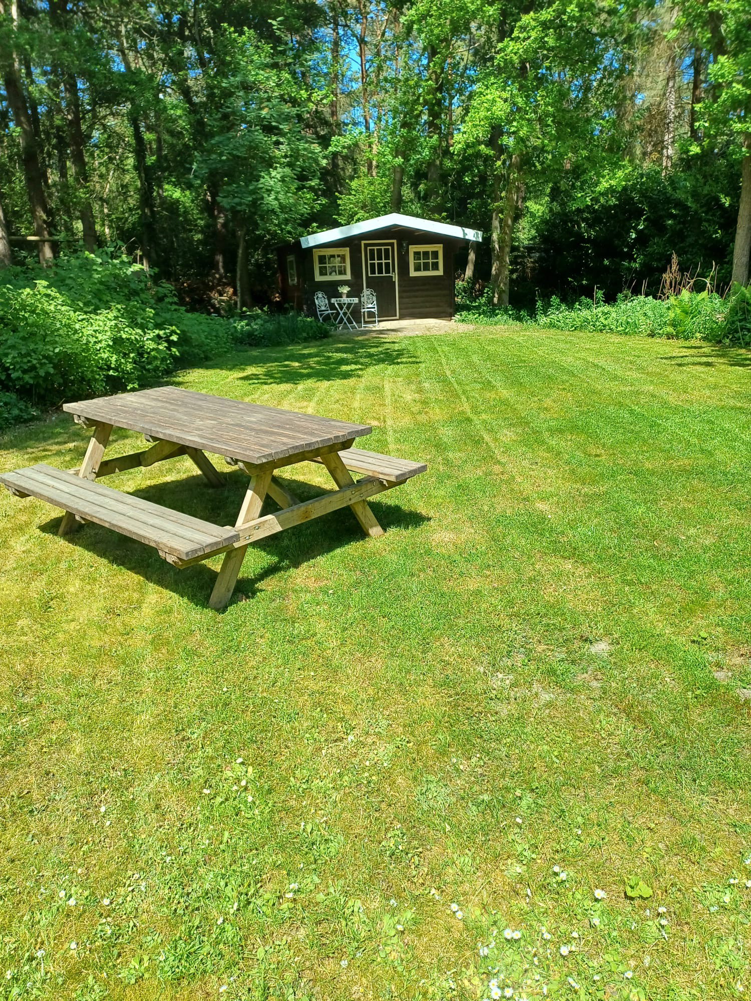 Nature house in Norg