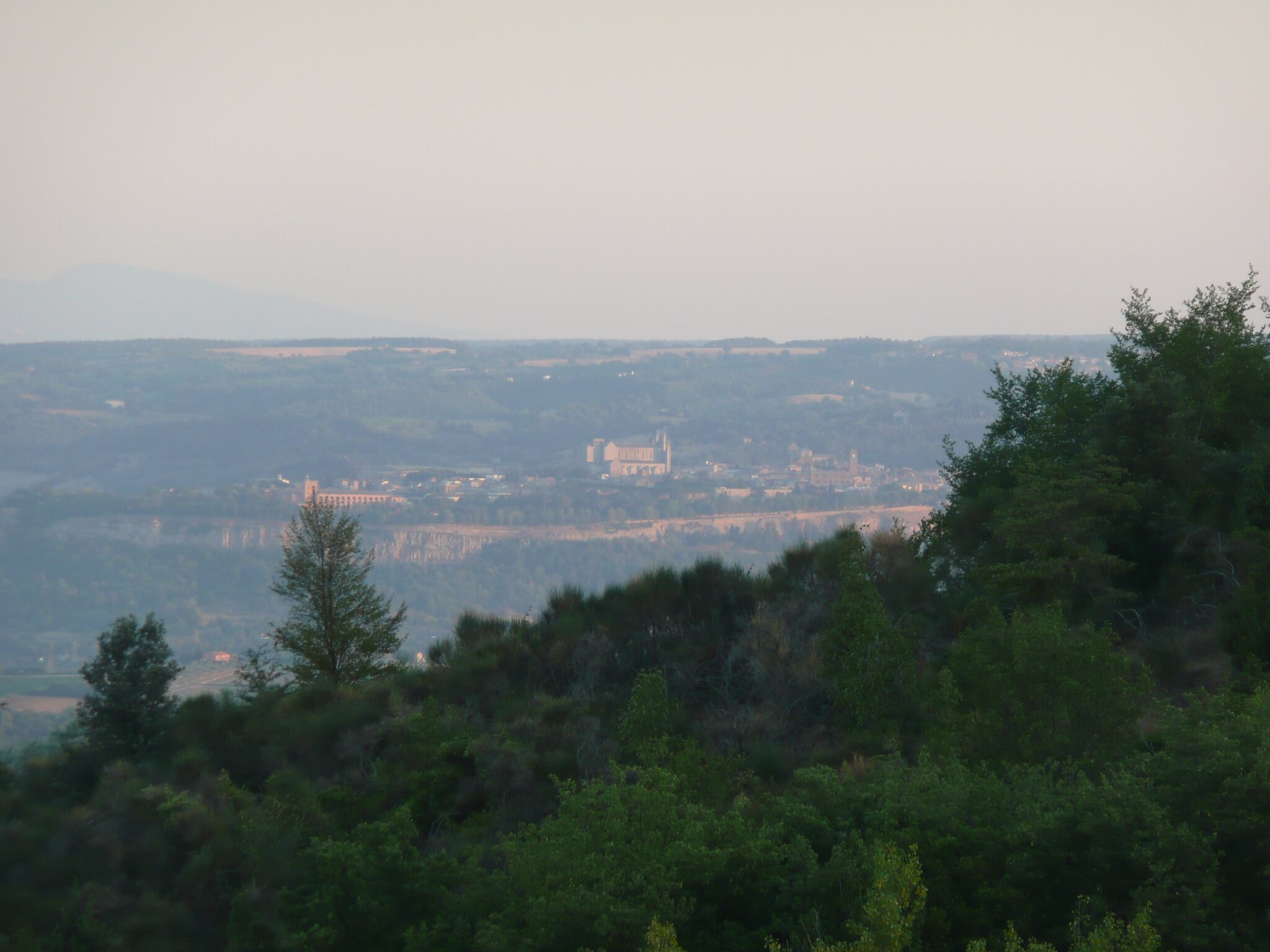 - image: 20