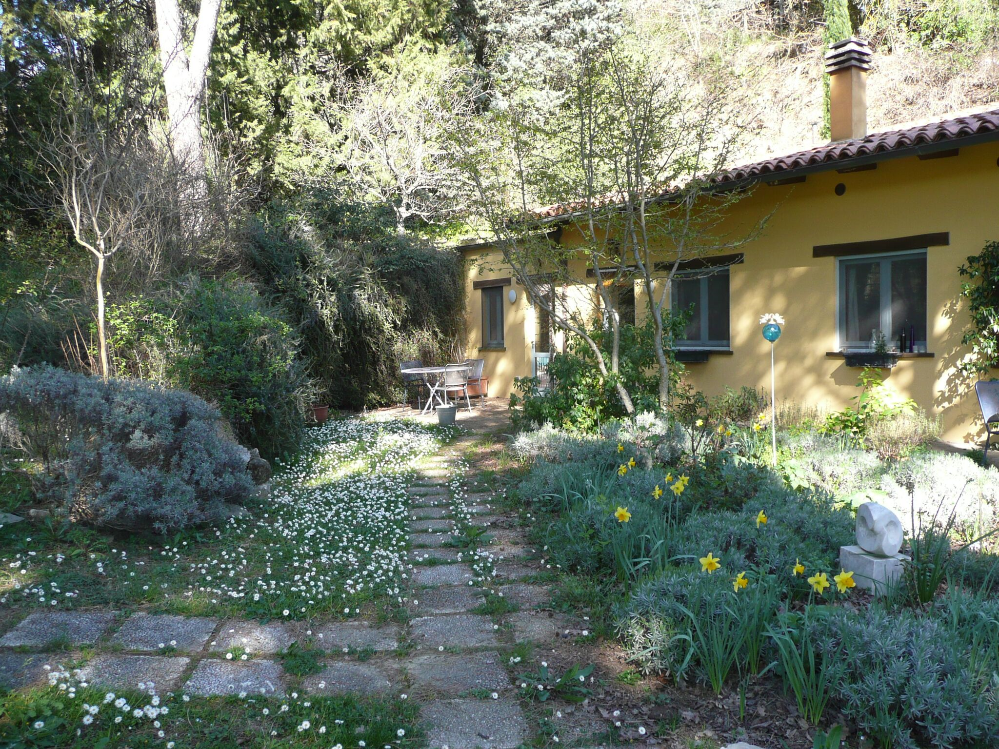 Maison nature à Ficulle(TR)