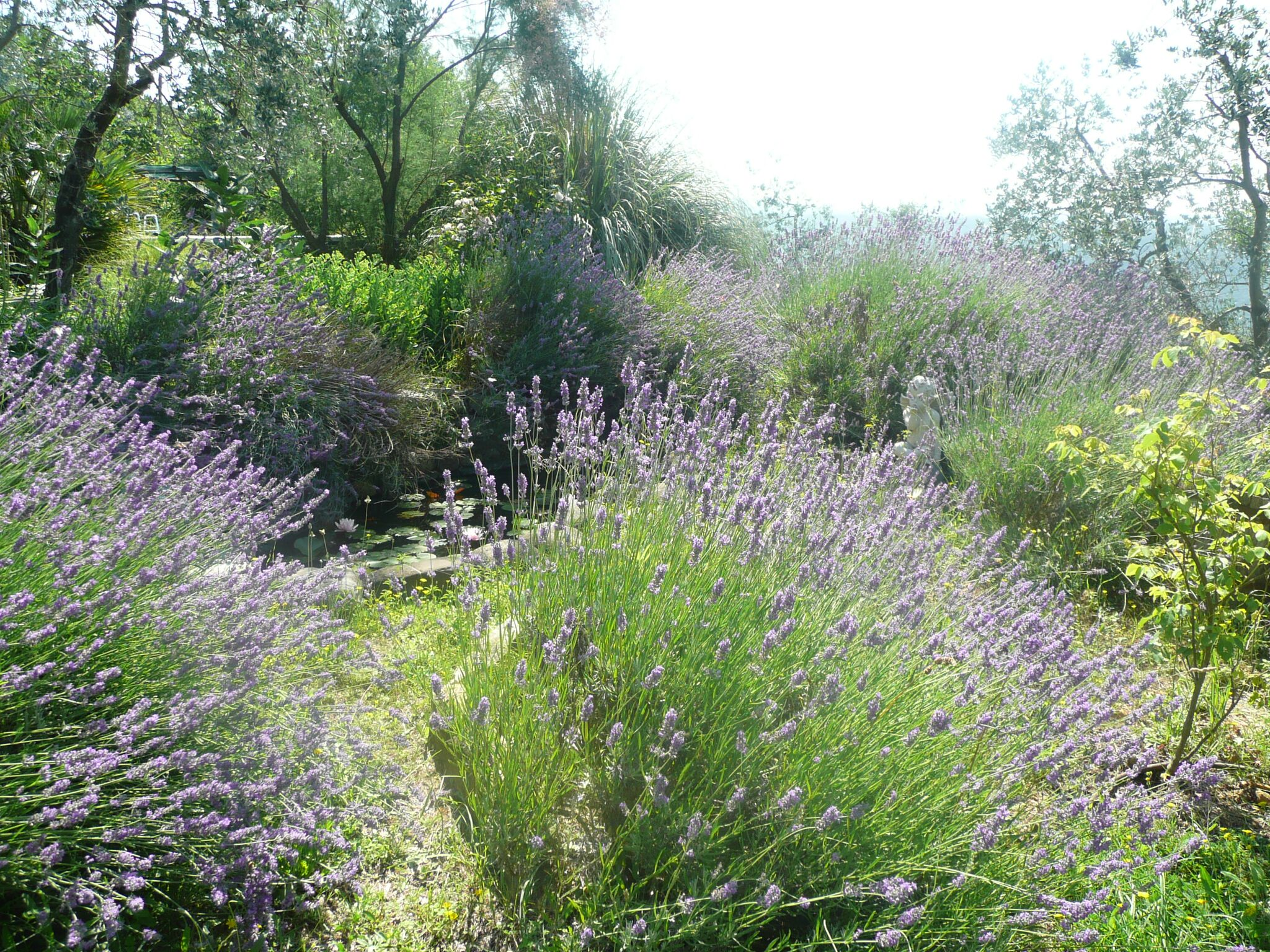 - image: 21