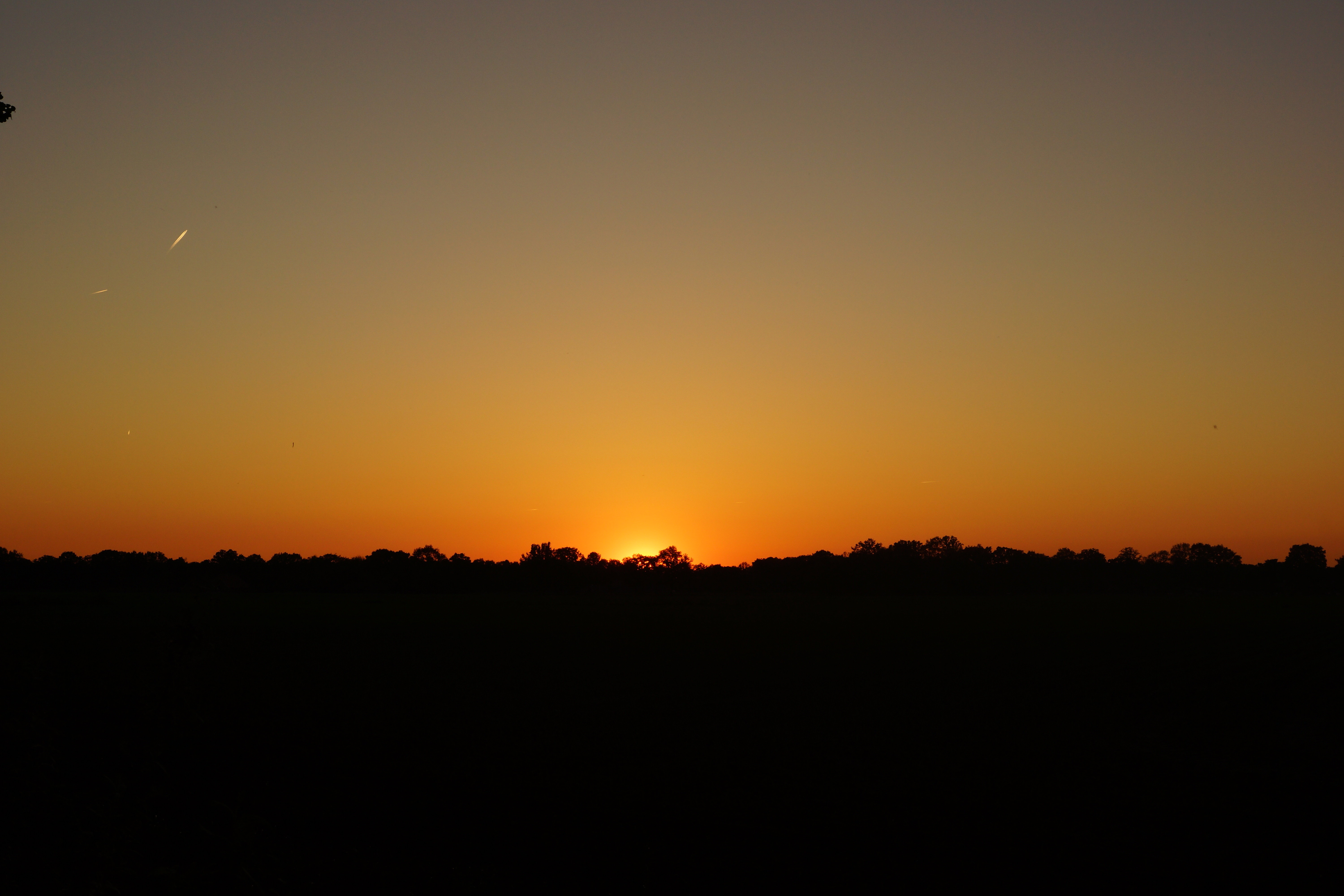 - image: 22