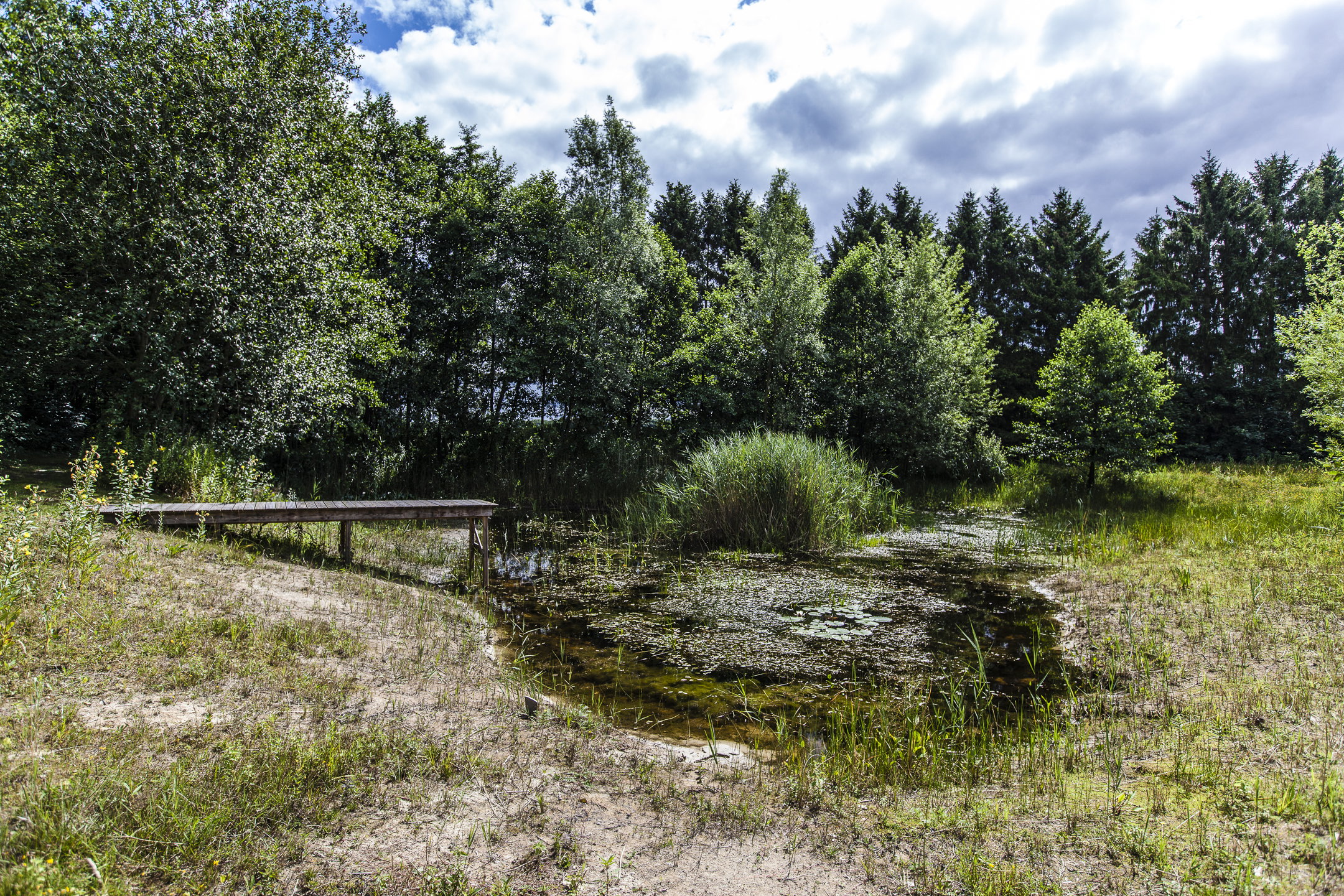- image: 11