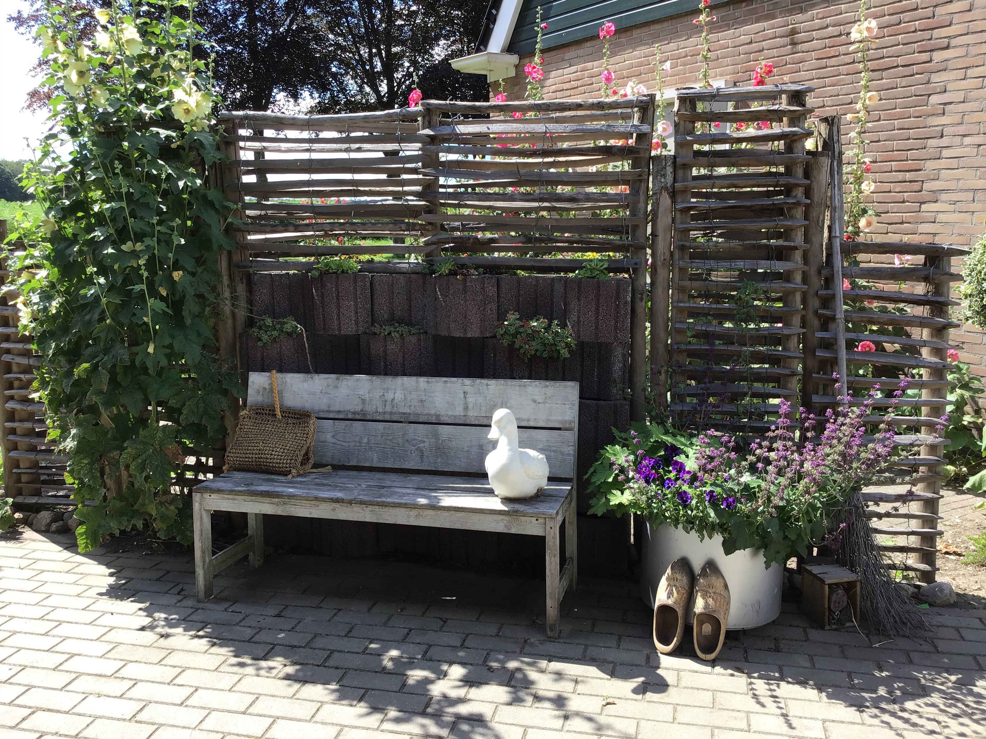 Casa nella natura a Odoorn