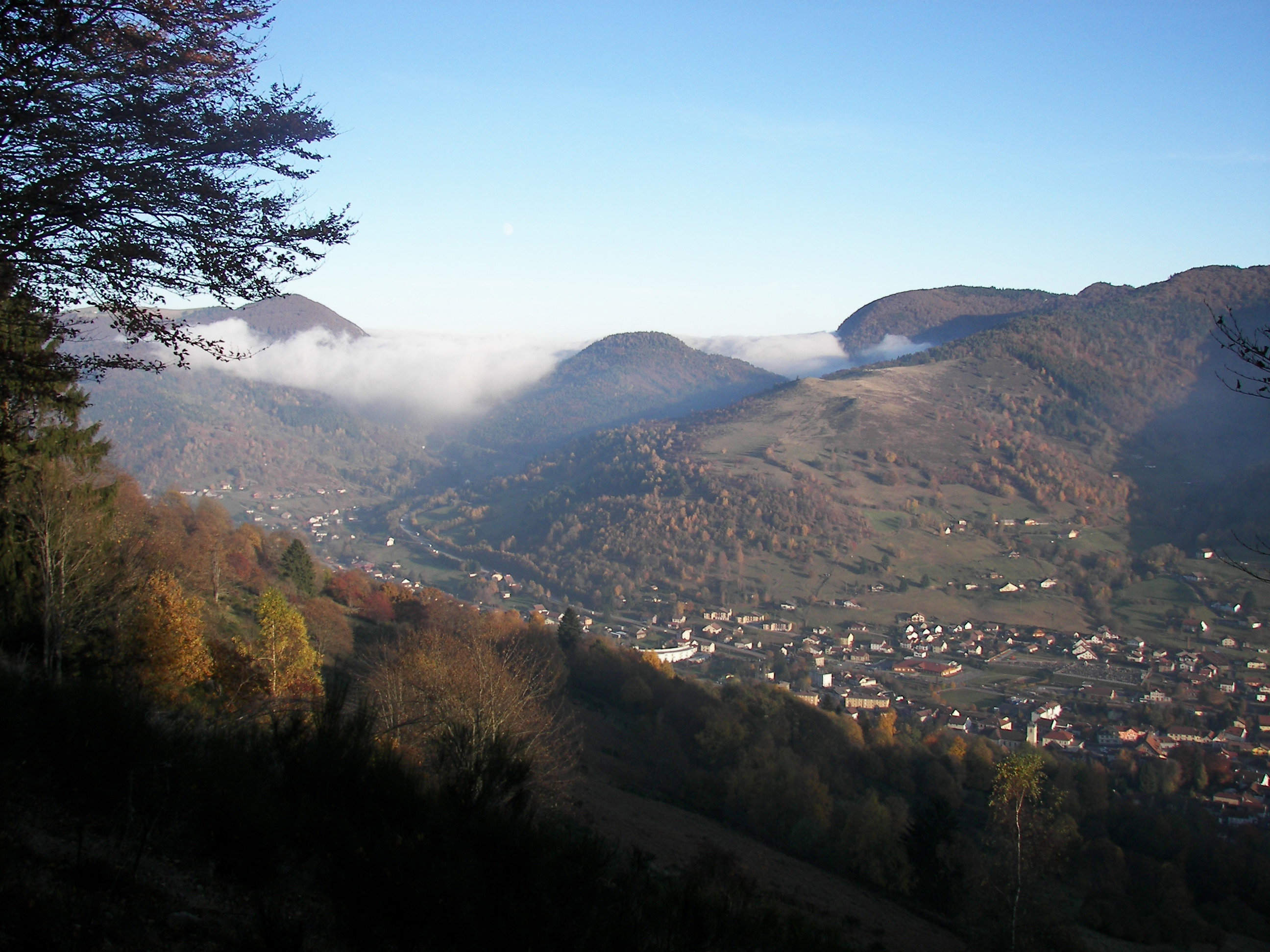 - image: 42