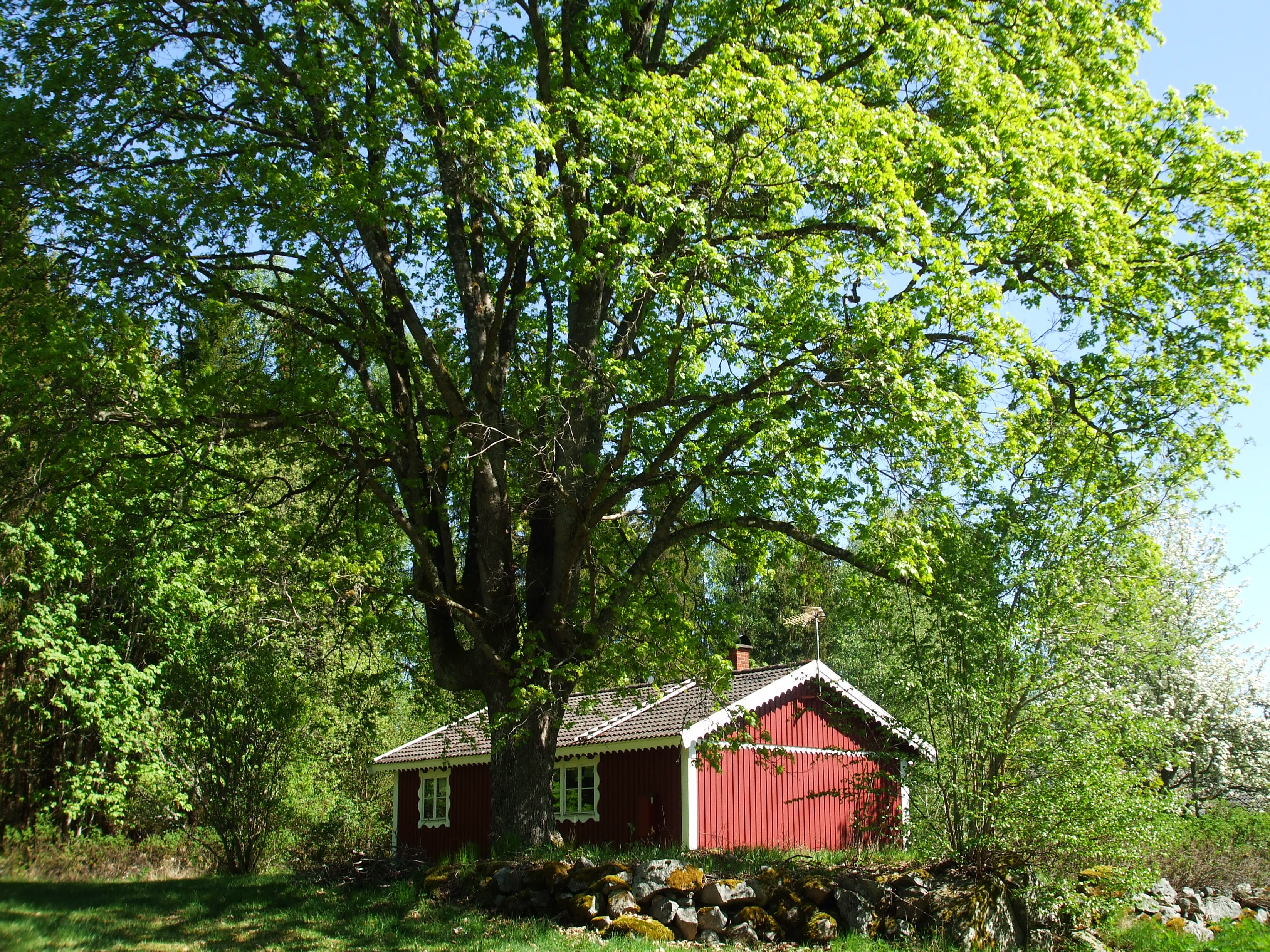 Naturhäuschen in Urshult