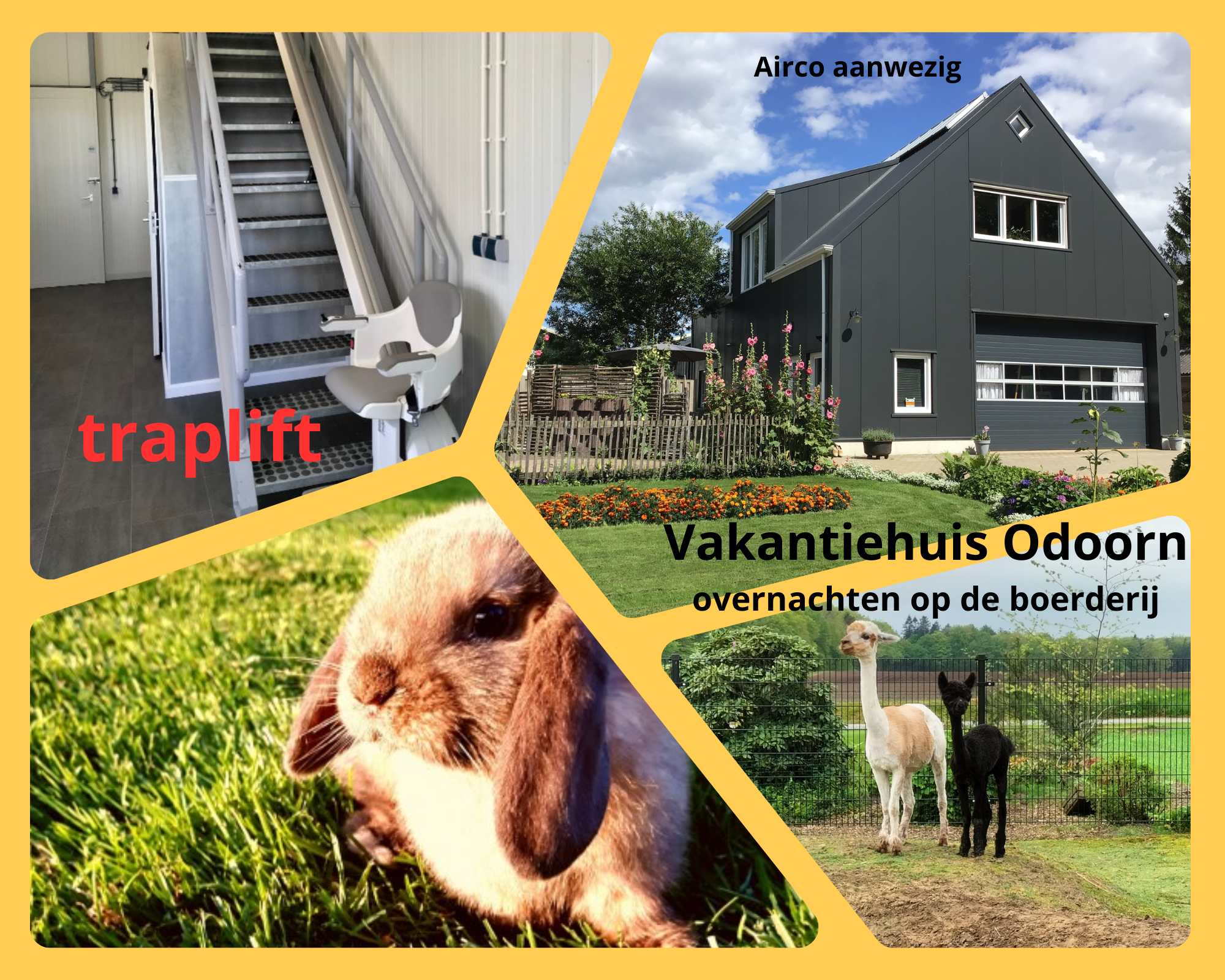 Nature house in Odoorn