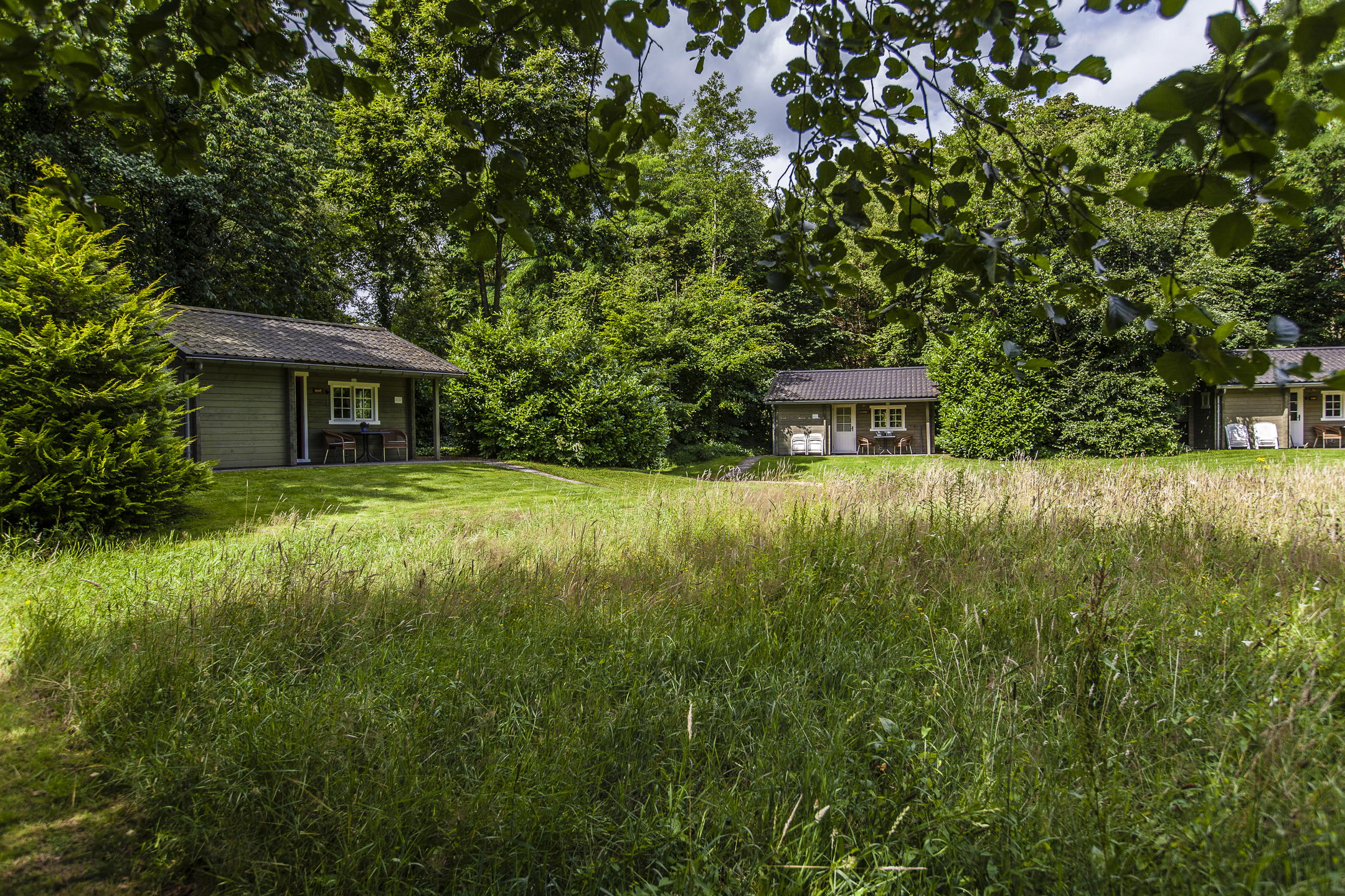 Nature house in Appelscha