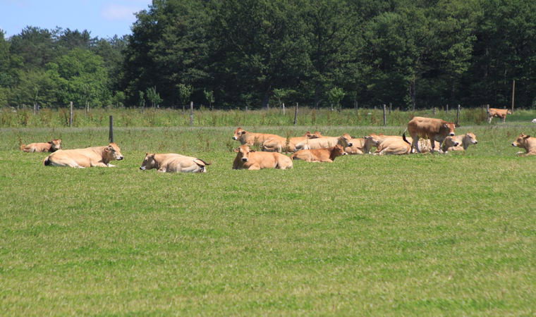 Maison nature à Méry-ès-boisl