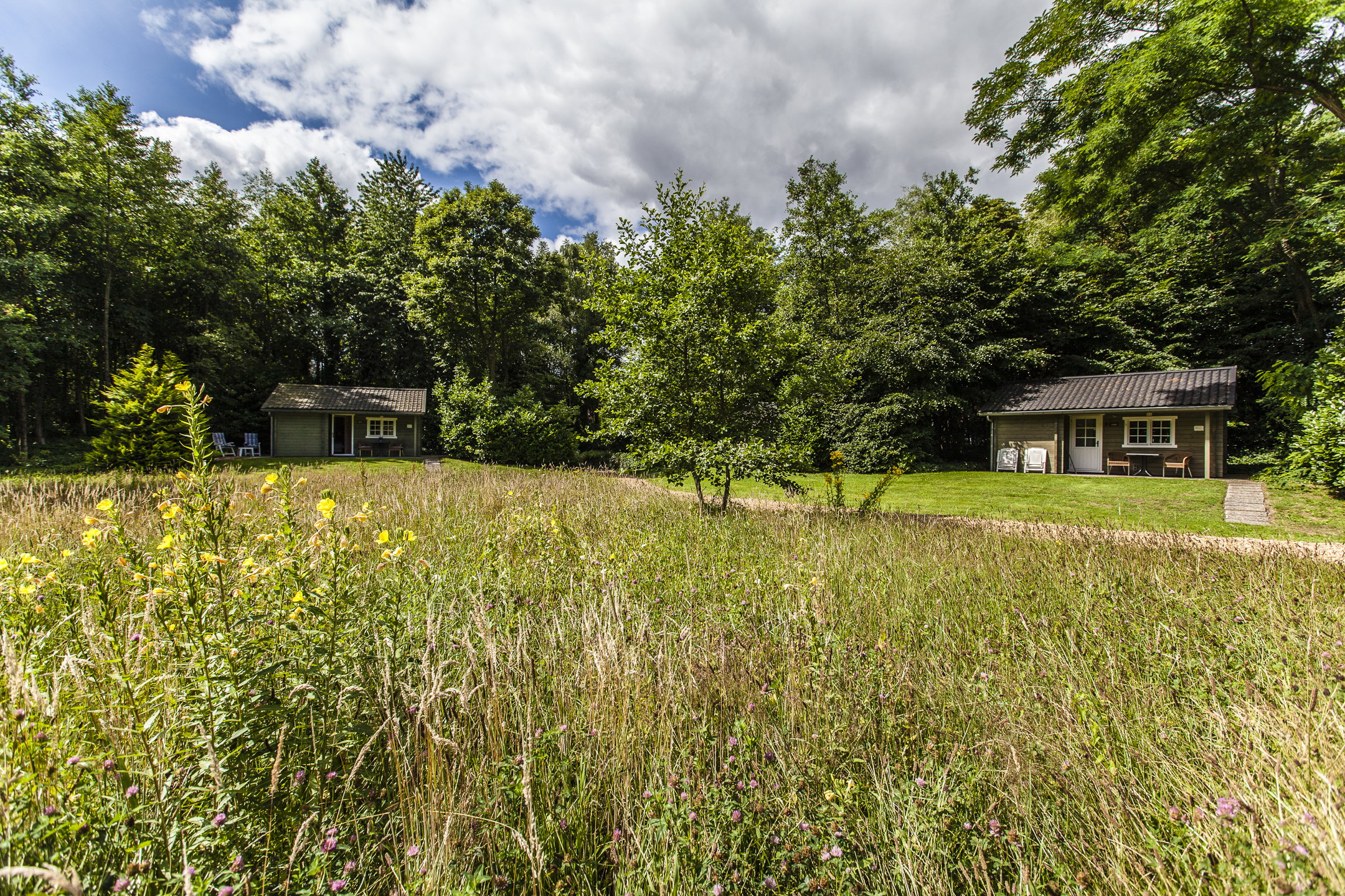Maison nature à Appelscha