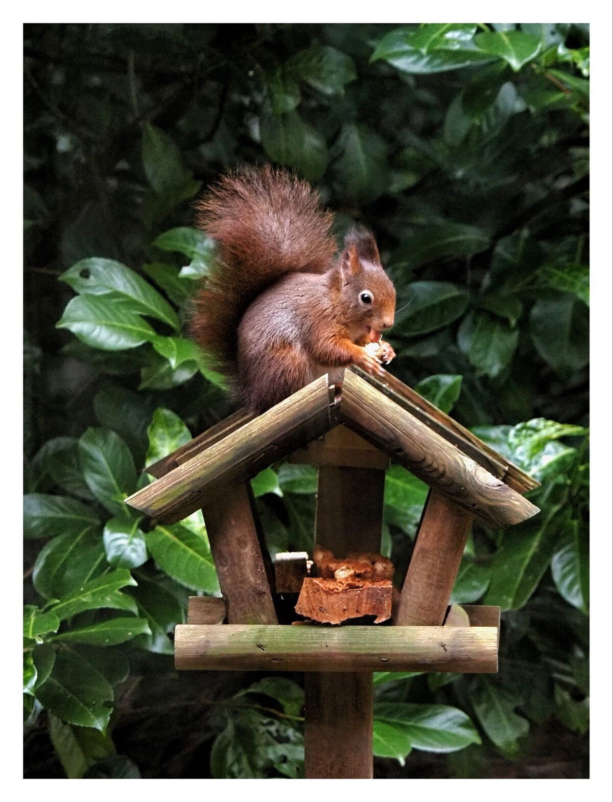 Casa nella natura a Holten