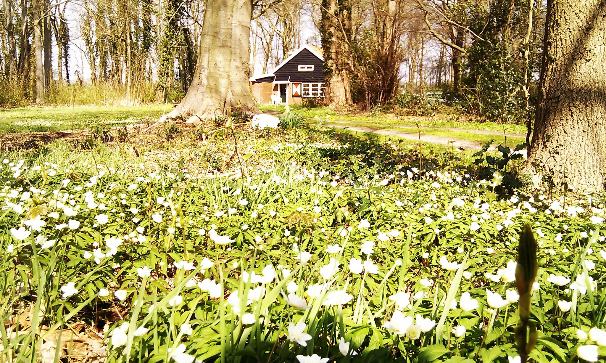 Naturhäuschen in Midlaren
