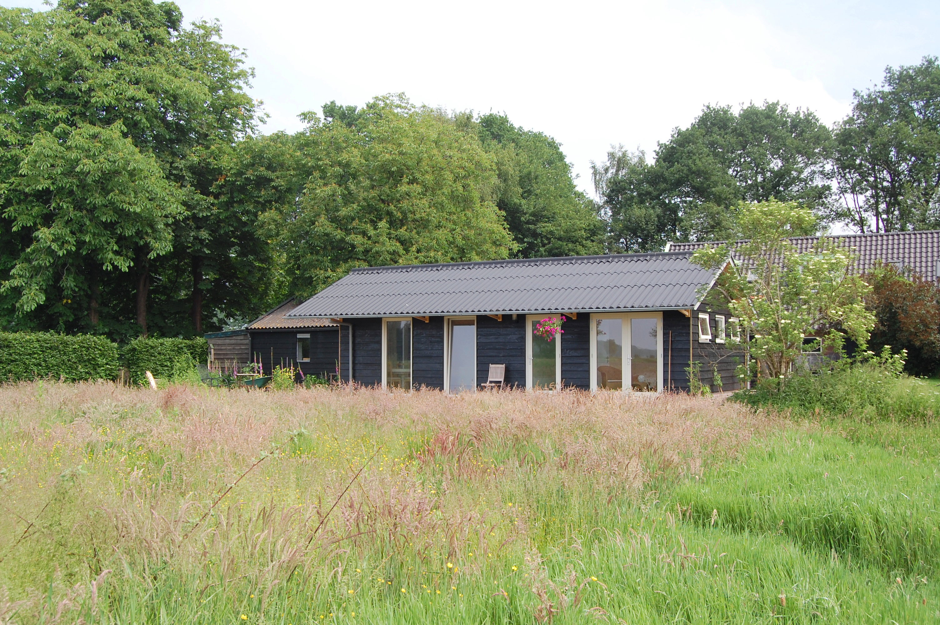 Maison nature à Vledderveen