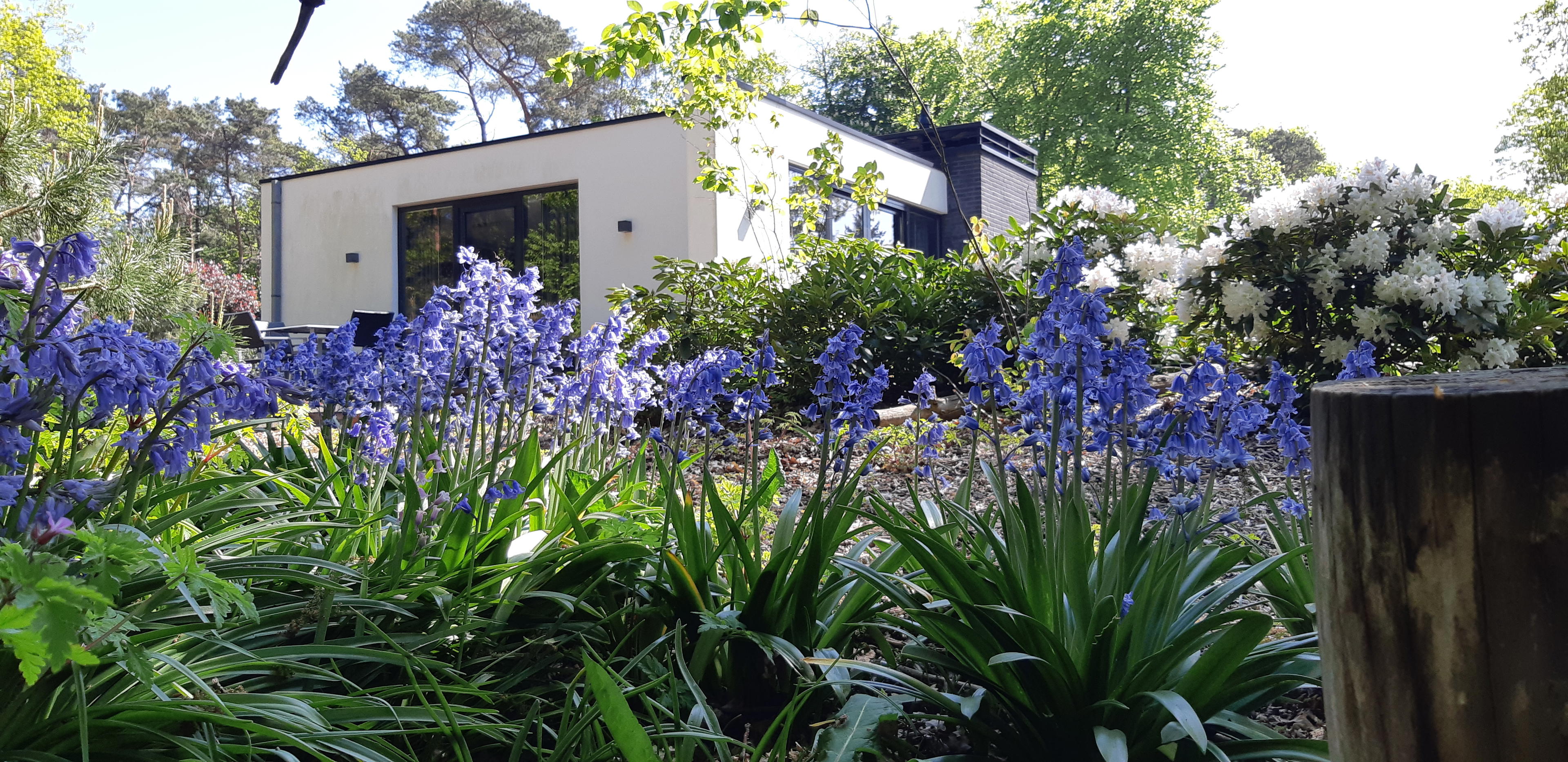 Maison nature à Holten