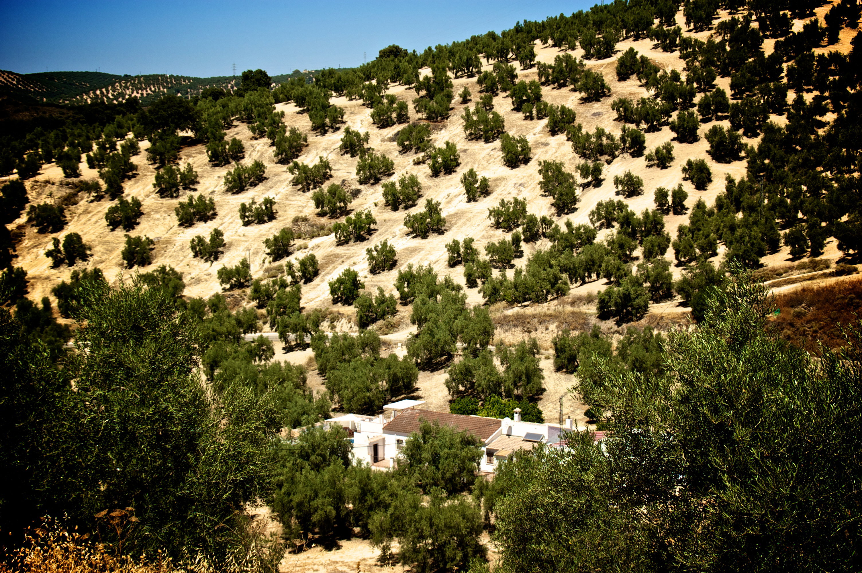 Naturhäuschen in Villanueva de Algaidas