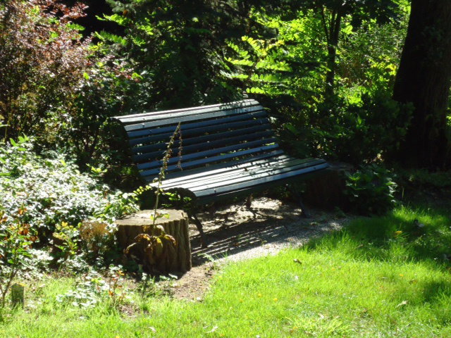 Naturhäuschen in Harfsen