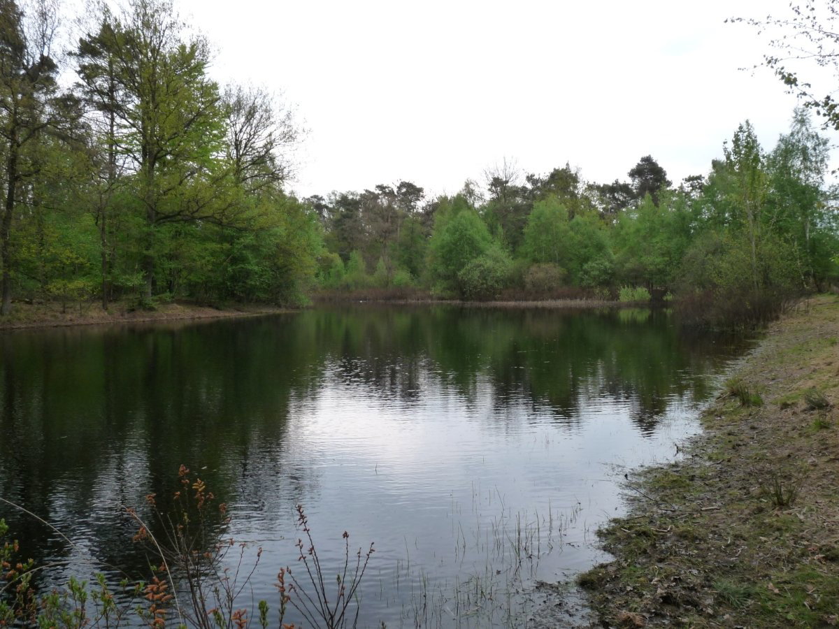 Naturhäuschen in Harfsen